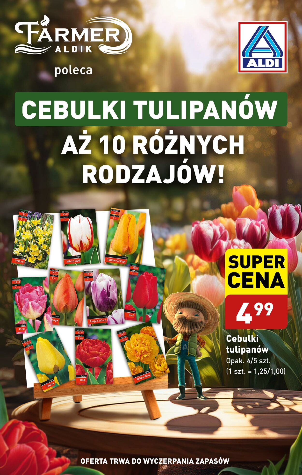 Gazetka Aldi - Aldi 16 wrz, 2024 - 28 wrz, 2024