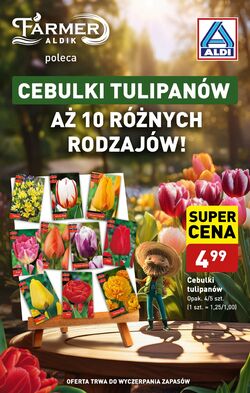 Gazetka Aldi 05.08.2024 - 10.08.2024