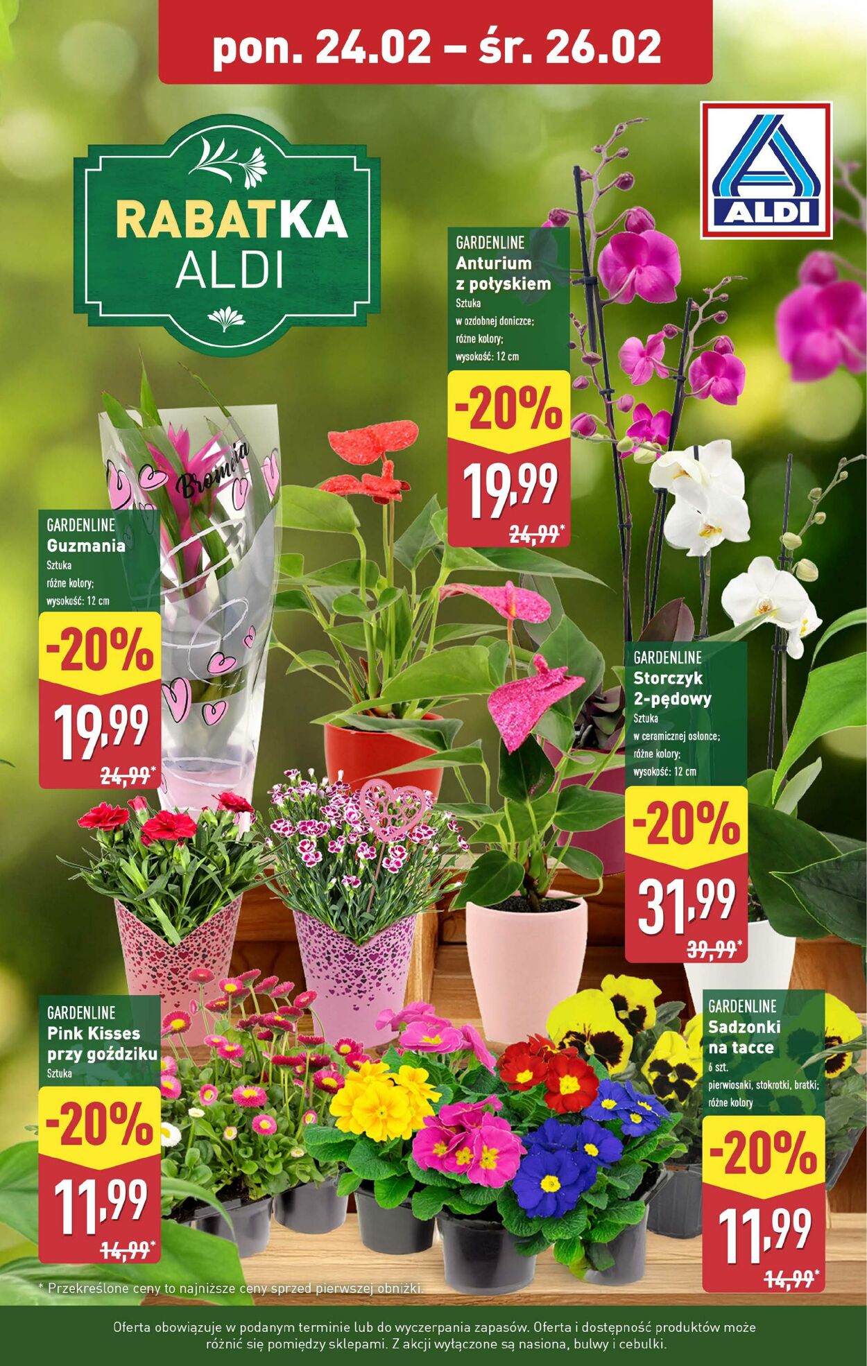 Gazetka Aldi 24.02.2025 - 26.02.2025