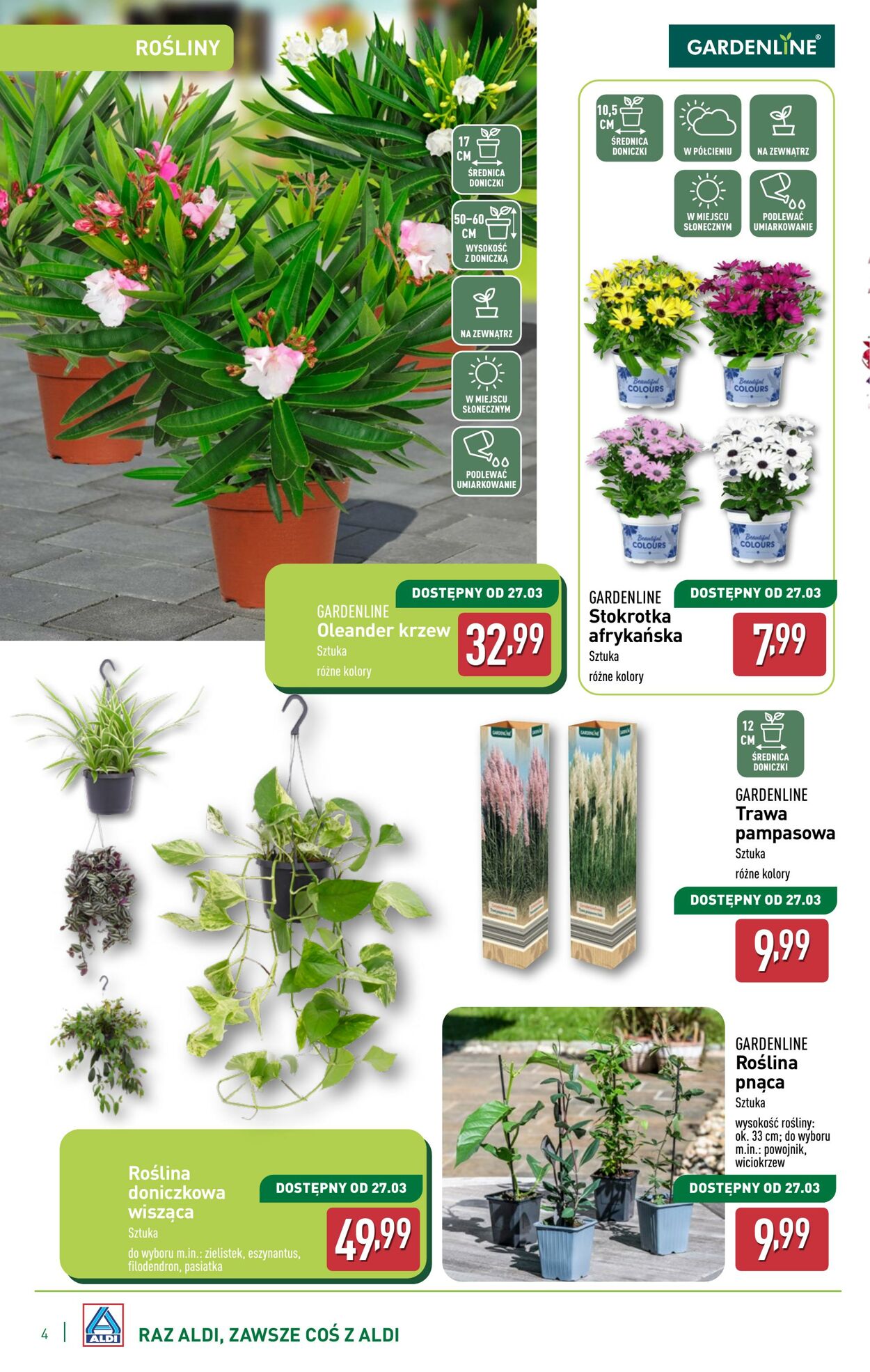 Gazetka Aldi 05.03.2025 - 15.03.2025