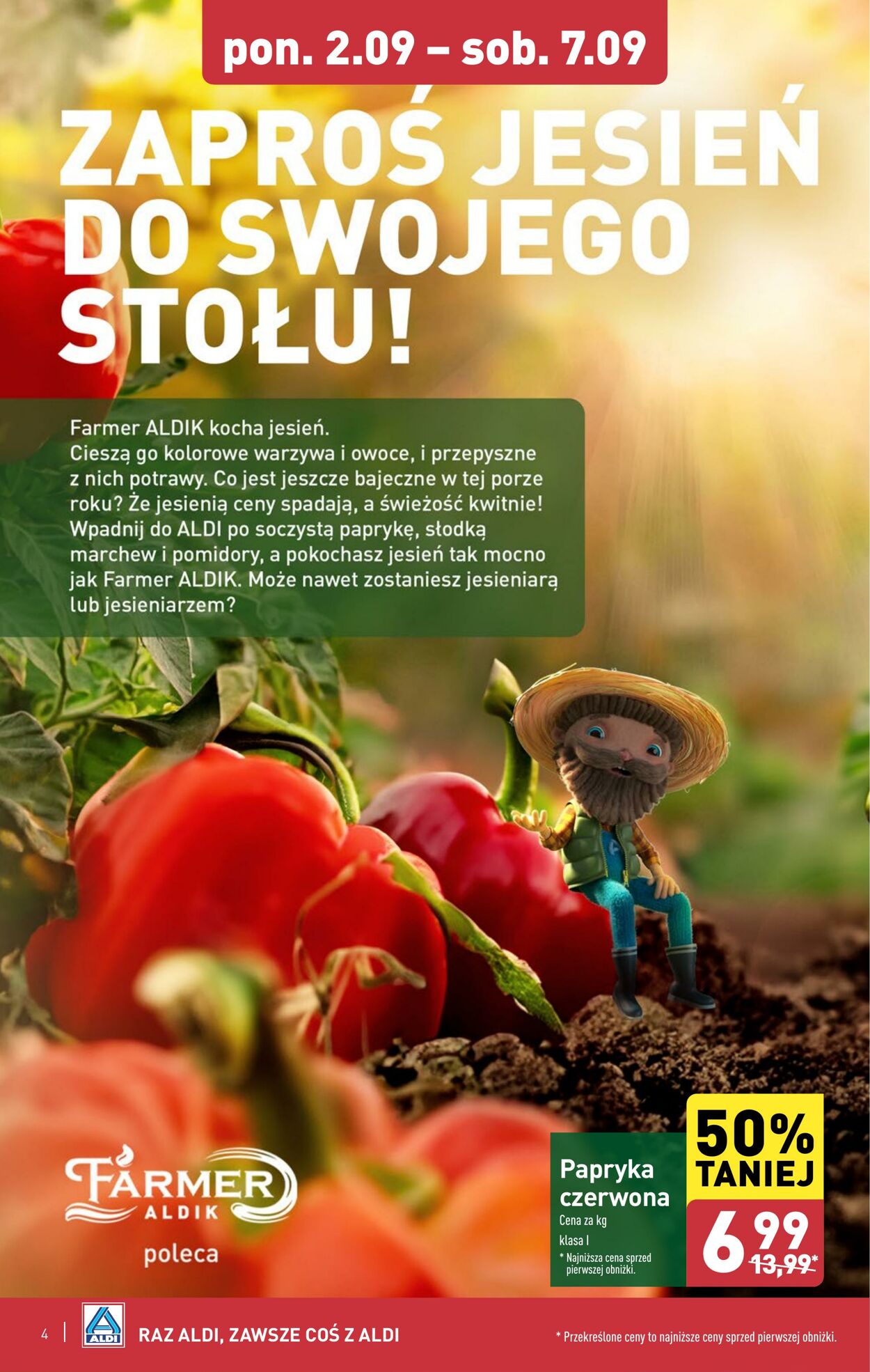 Gazetka Aldi 02.09.2024 - 07.09.2024