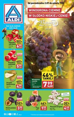 Gazetka Aldi 05.08.2024 - 10.08.2024