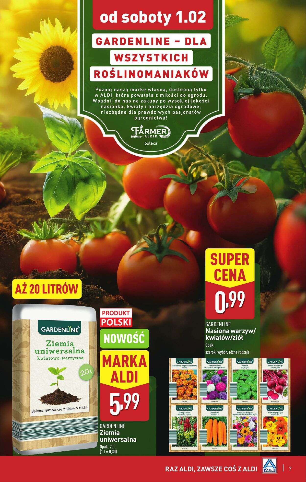 Gazetka Aldi 30.01.2025 - 01.02.2025