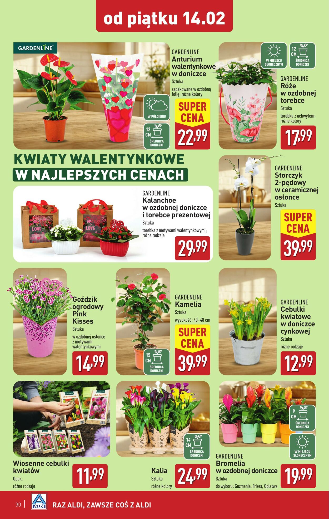 Gazetka Aldi 10.02.2025 - 15.02.2025