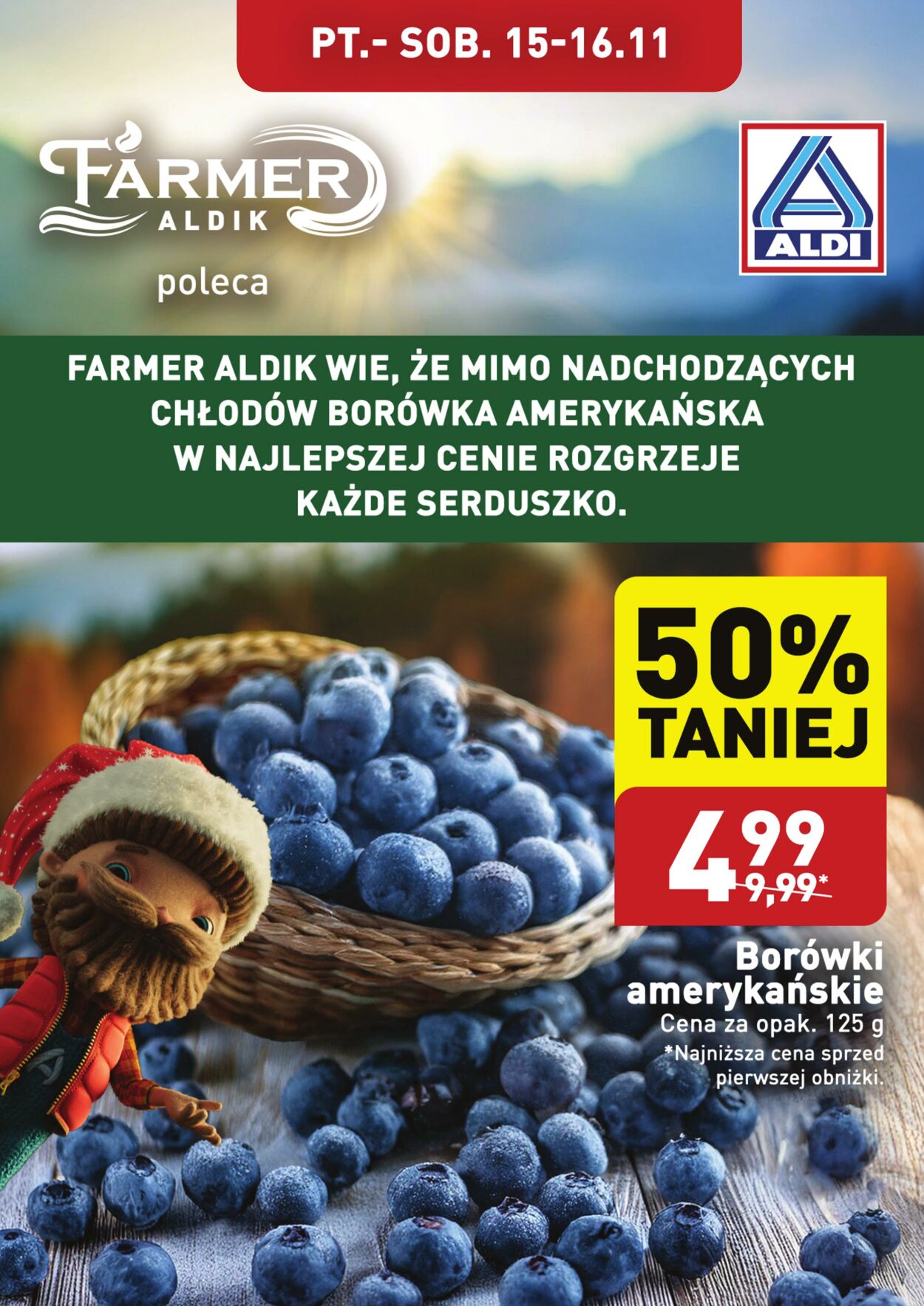 Gazetka Aldi - Aldi 15 lis, 2024 - 16 lis, 2024