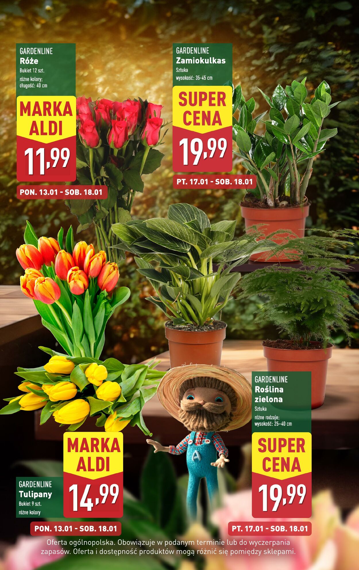 Gazetka Aldi 13.01.2025 - 18.01.2025