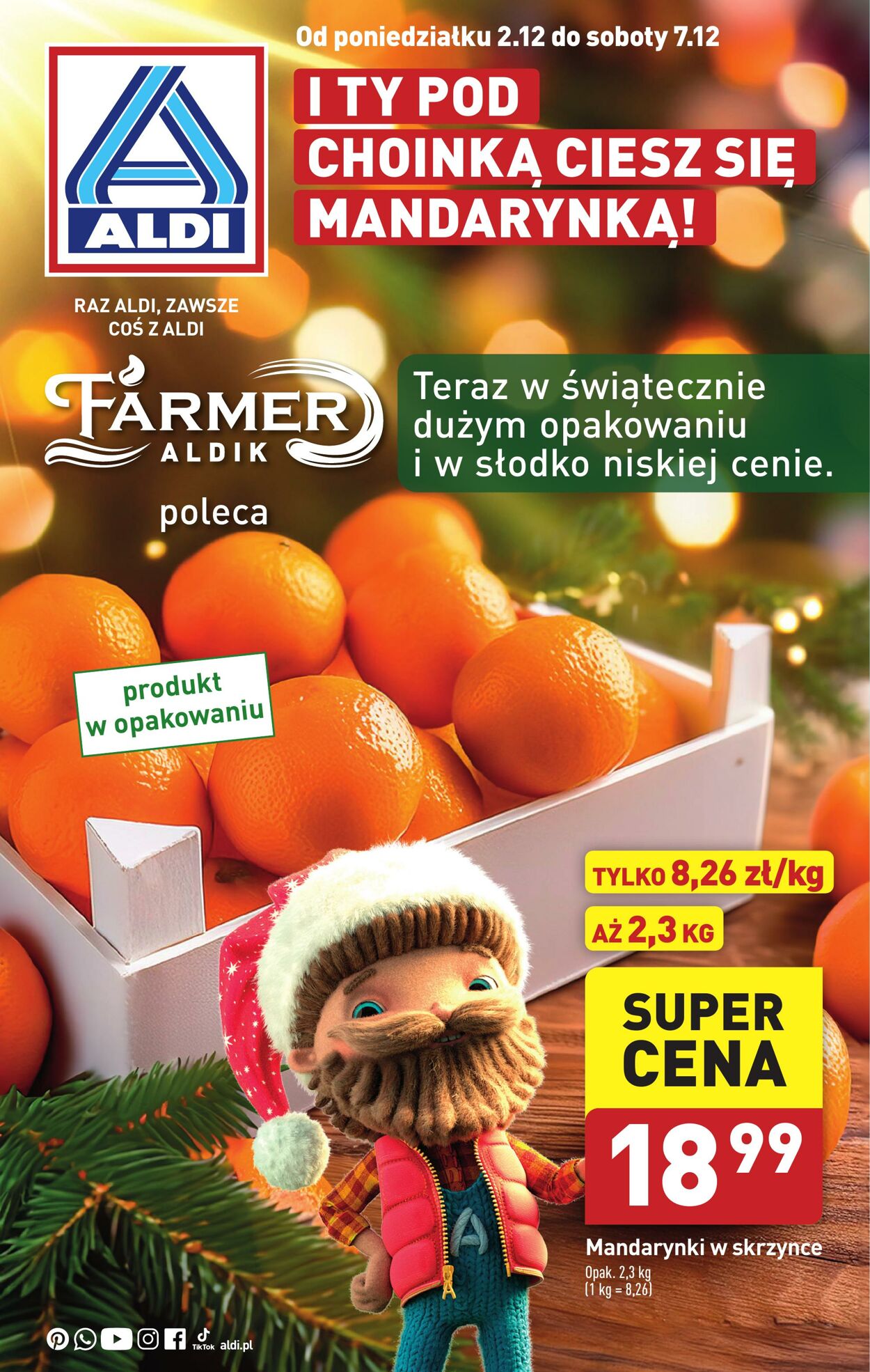 Gazetka Aldi 02.12.2024 - 07.12.2024