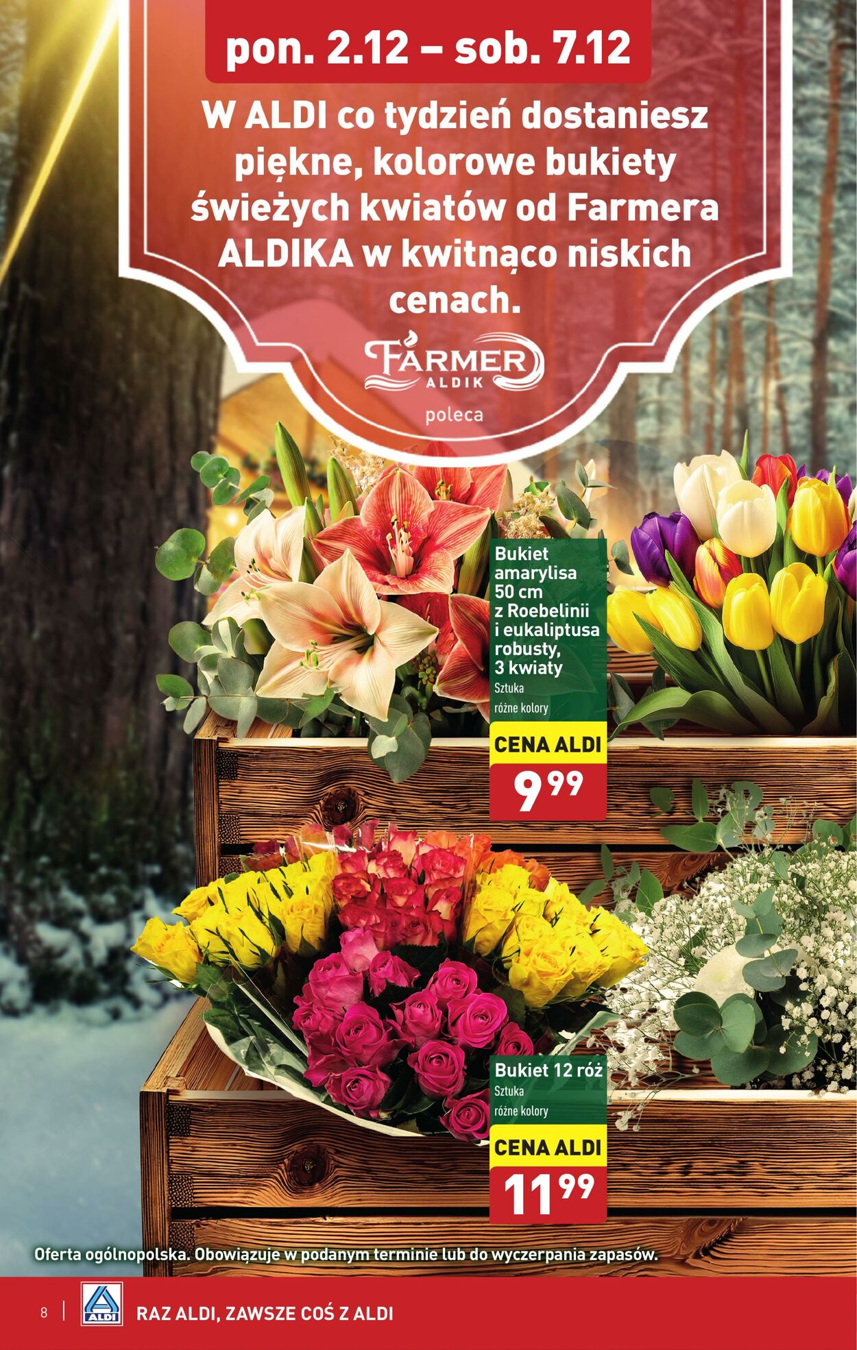 Gazetka Aldi 02.12.2024 - 07.12.2024