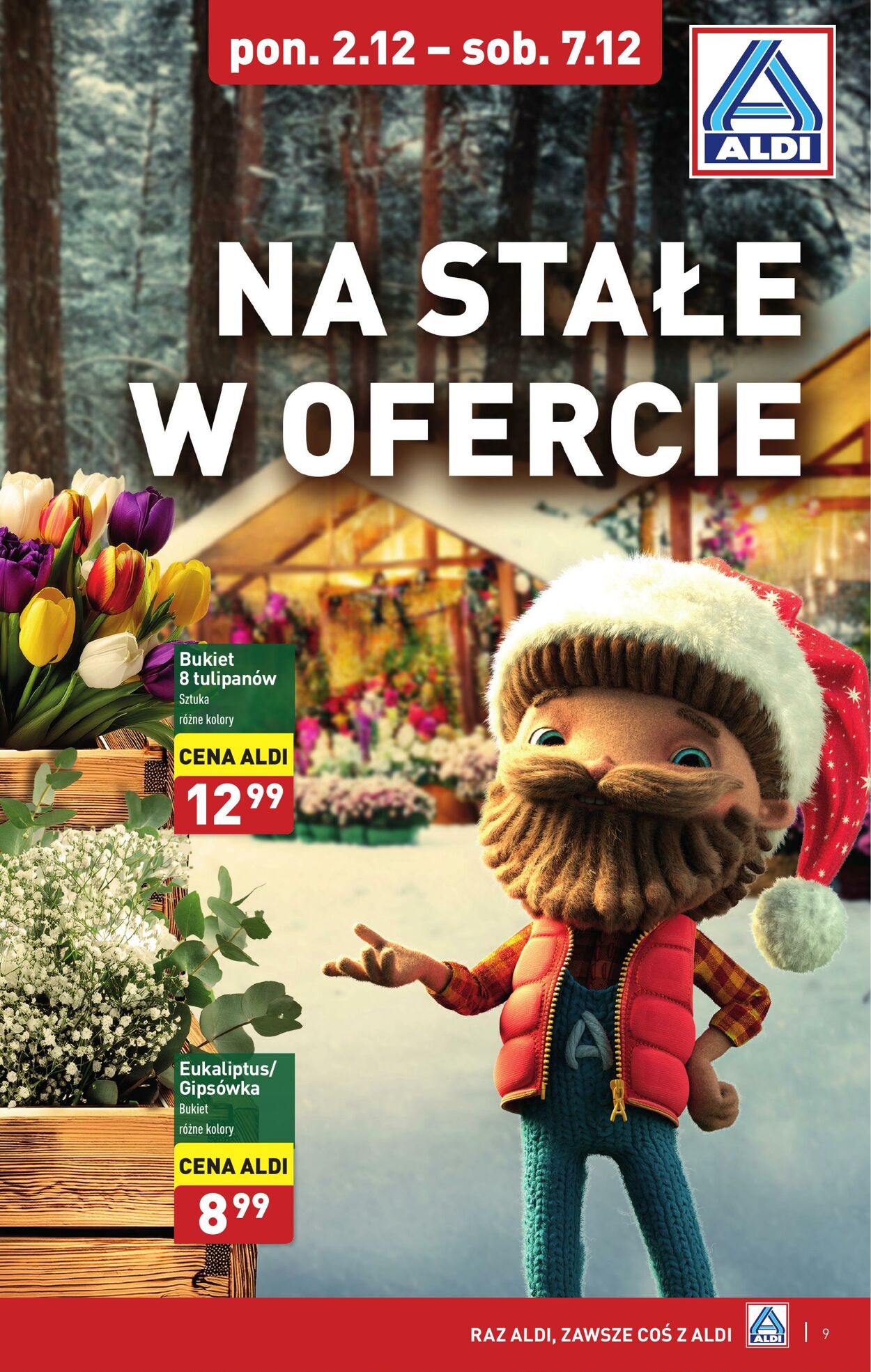 Gazetka Aldi 02.12.2024 - 07.12.2024