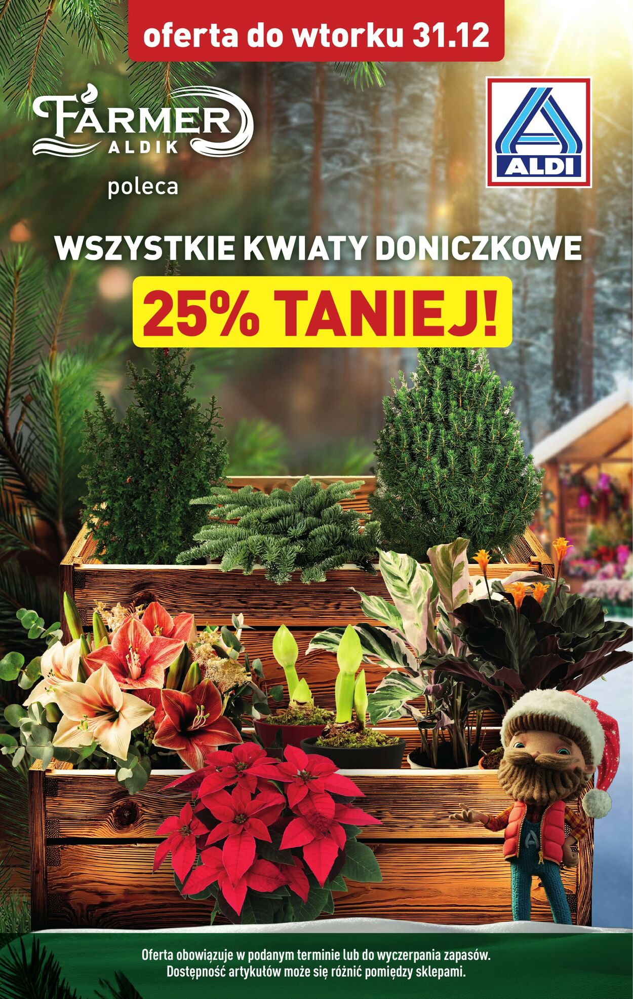 Gazetka Aldi 27.12.2024 - 04.01.2025