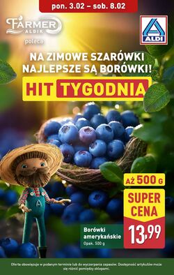 Gazetka Aldi 03.02.2025 - 08.02.2025