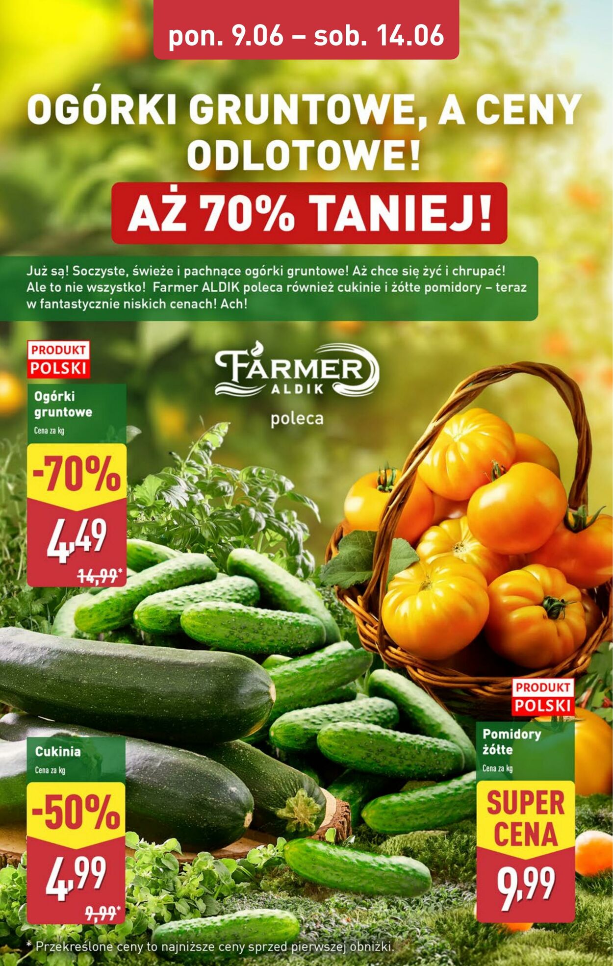 Gazetka Aldi 09.06.2025 - 14.06.2025