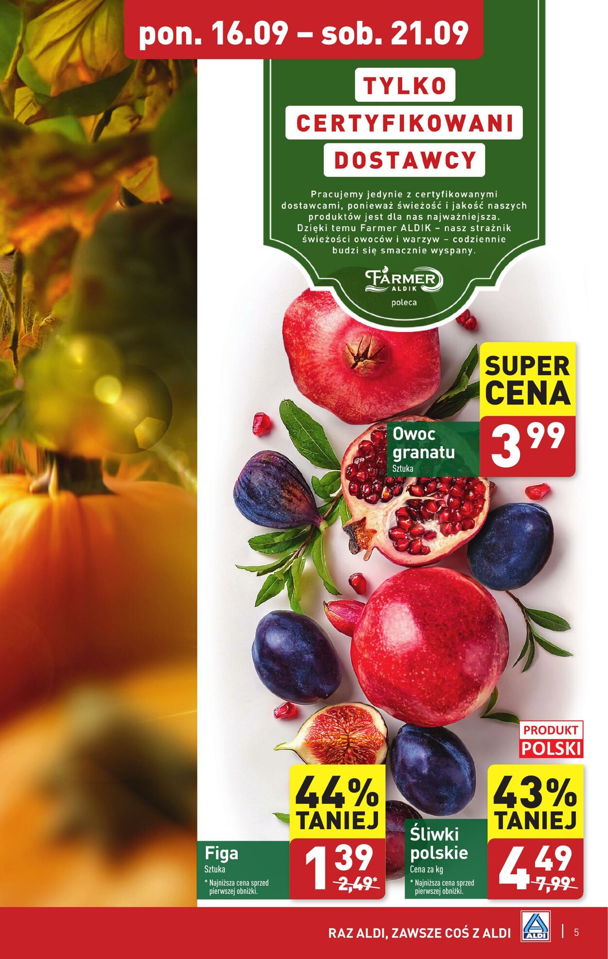 Gazetka Aldi 16.09.2024 - 21.09.2024