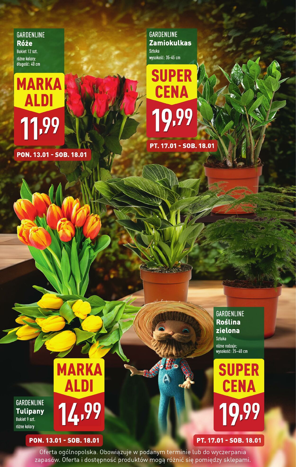 Gazetka Aldi 13.01.2025 - 18.01.2025