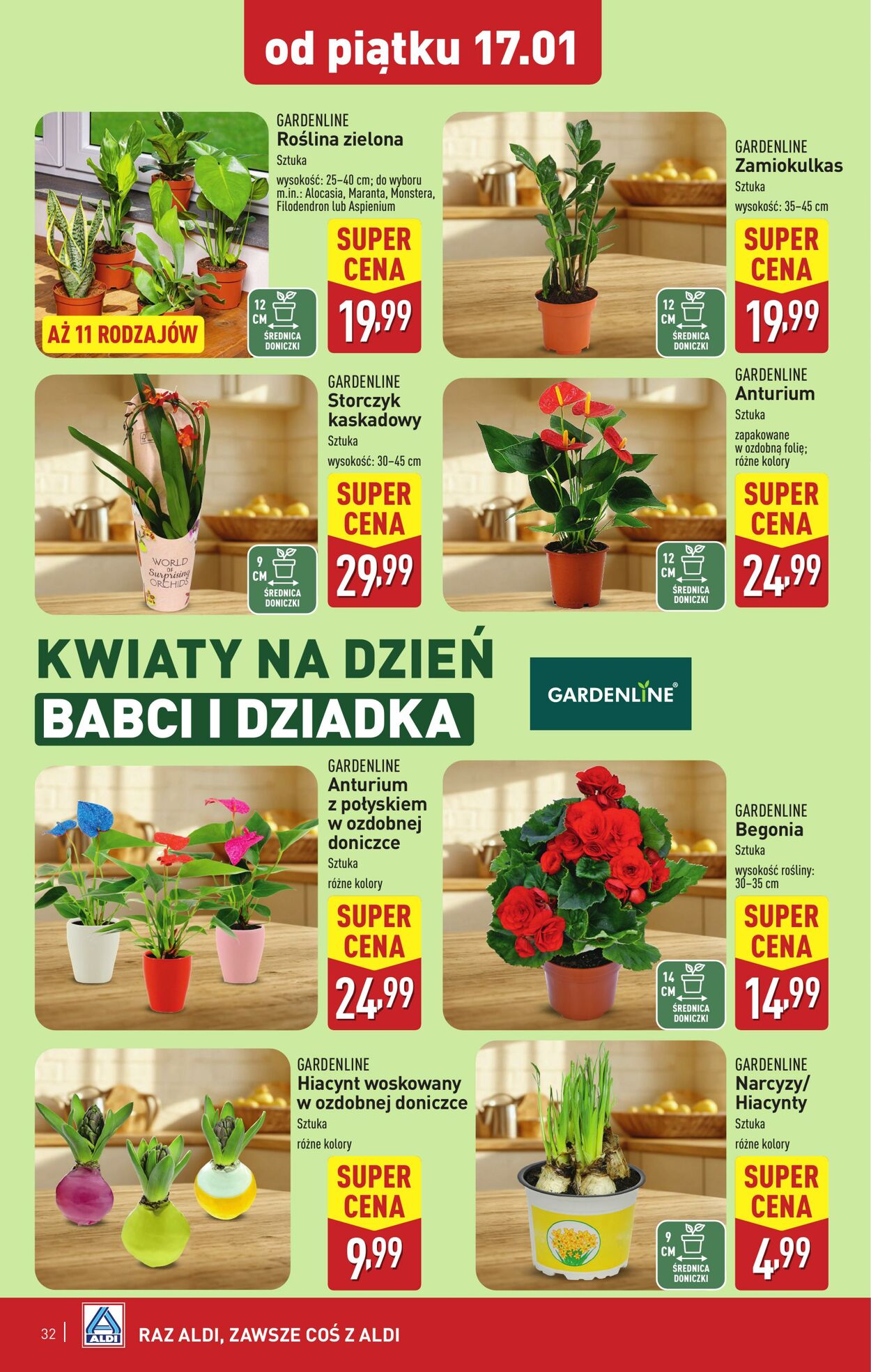 Gazetka Aldi 13.01.2025 - 18.01.2025