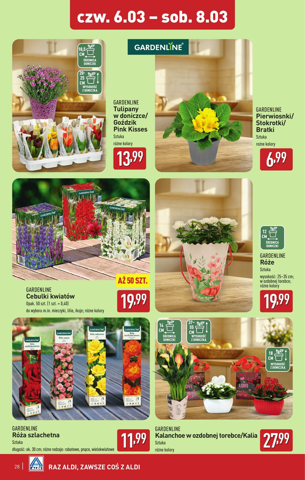 Gazetka Aldi 03.03.2025 - 08.03.2025