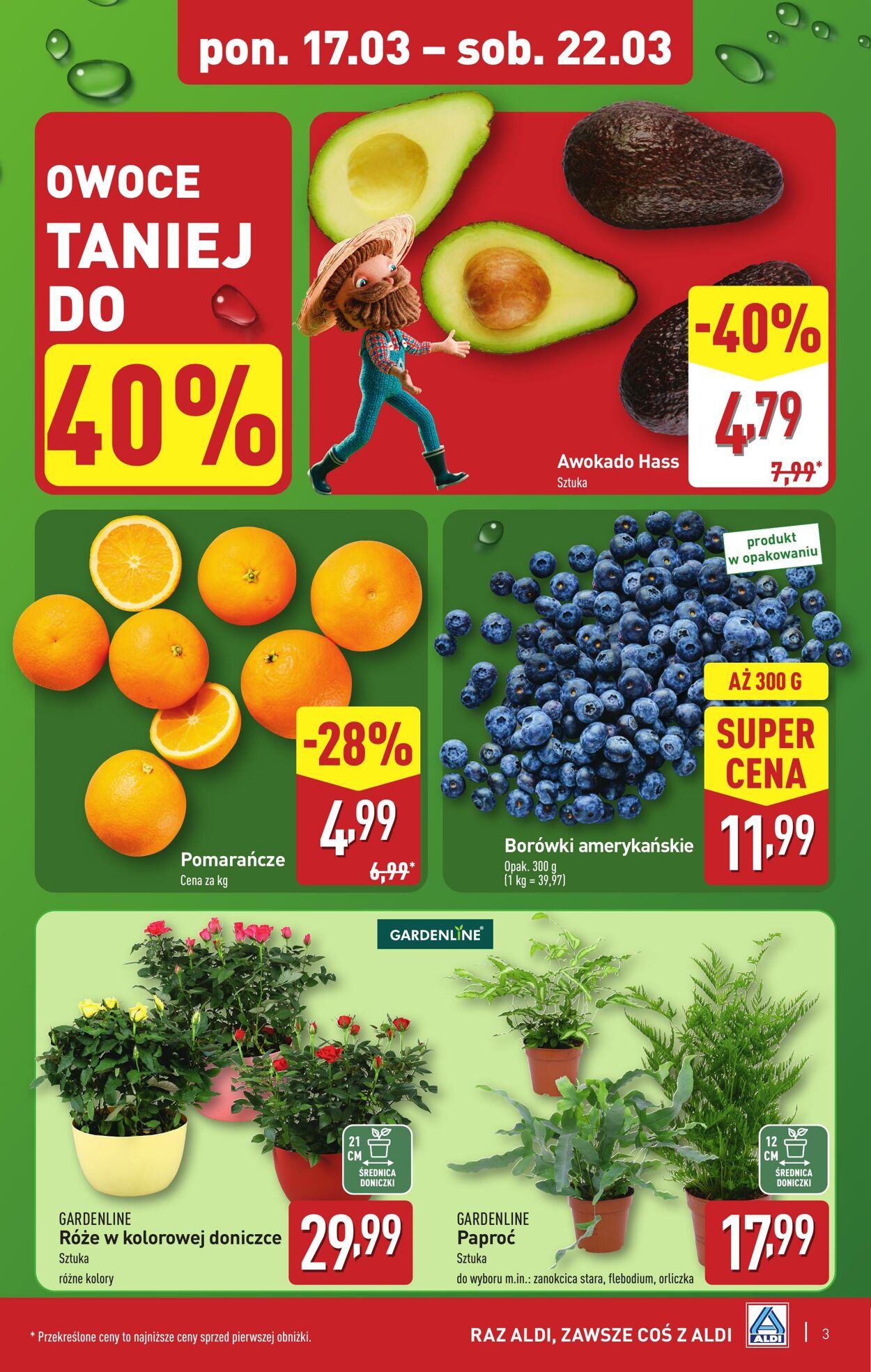 Gazetka Aldi 17.03.2025 - 22.03.2025