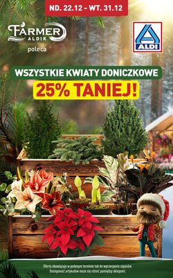 Gazetka Aldi 22.12.2024 - 31.12.2024