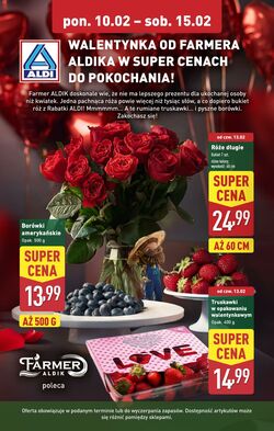 Gazetka Aldi 10.02.2025 - 15.02.2025