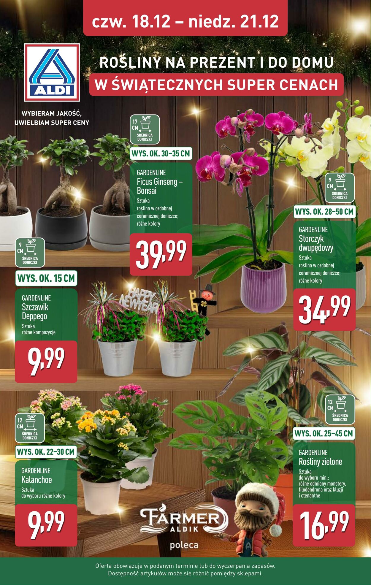 Gazetka Aldi 15.12.2025 - 21.12.2025