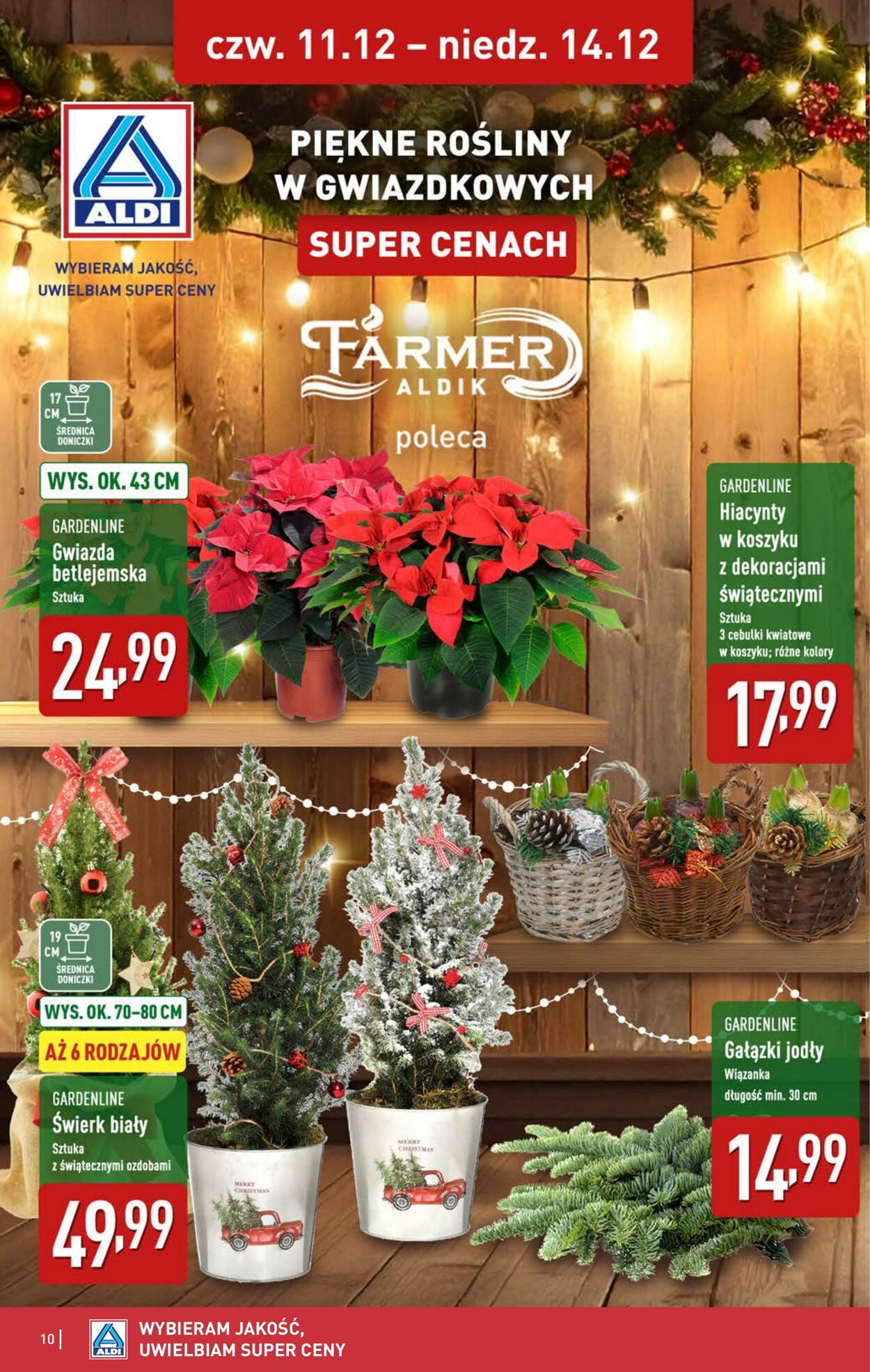 Gazetka Aldi 11.12.2025 - 14.12.2025