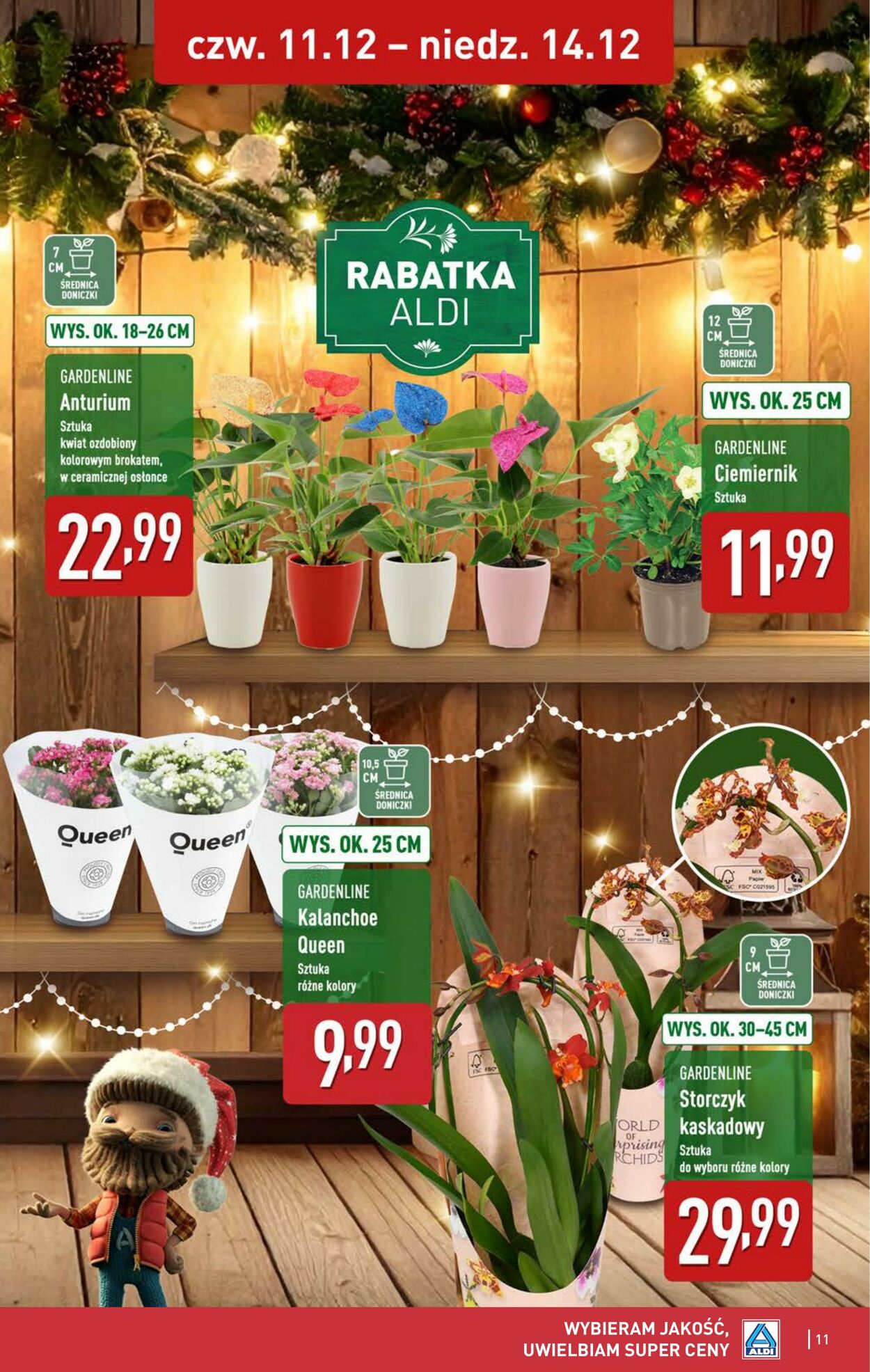 Gazetka Aldi 11.12.2025 - 14.12.2025