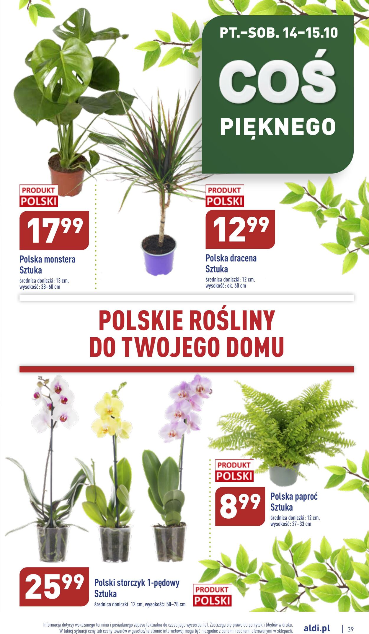 Gazetka Aldi 10.10.2022 - 15.10.2022