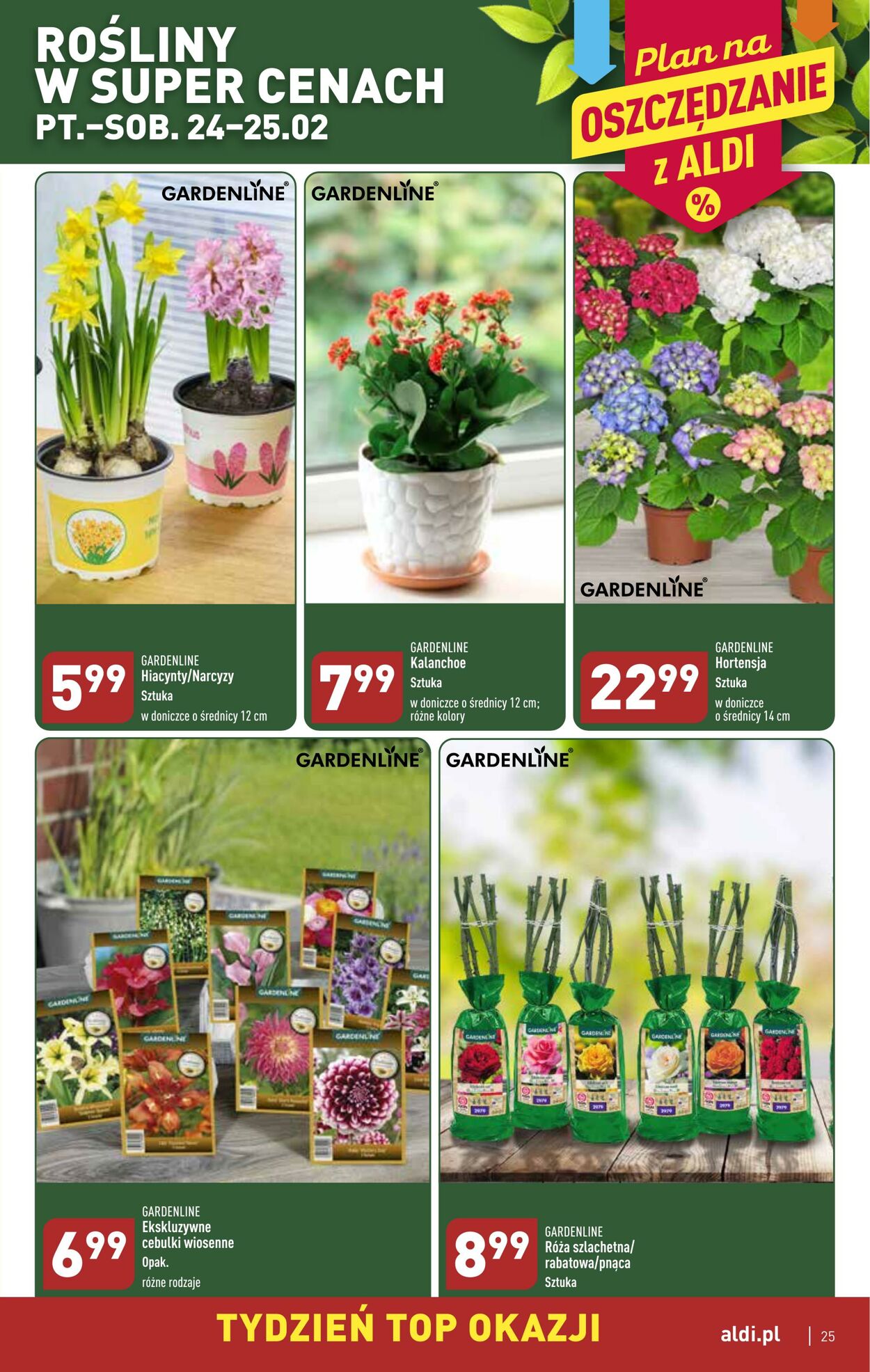 Gazetka Aldi 20.02.2023 - 25.02.2023