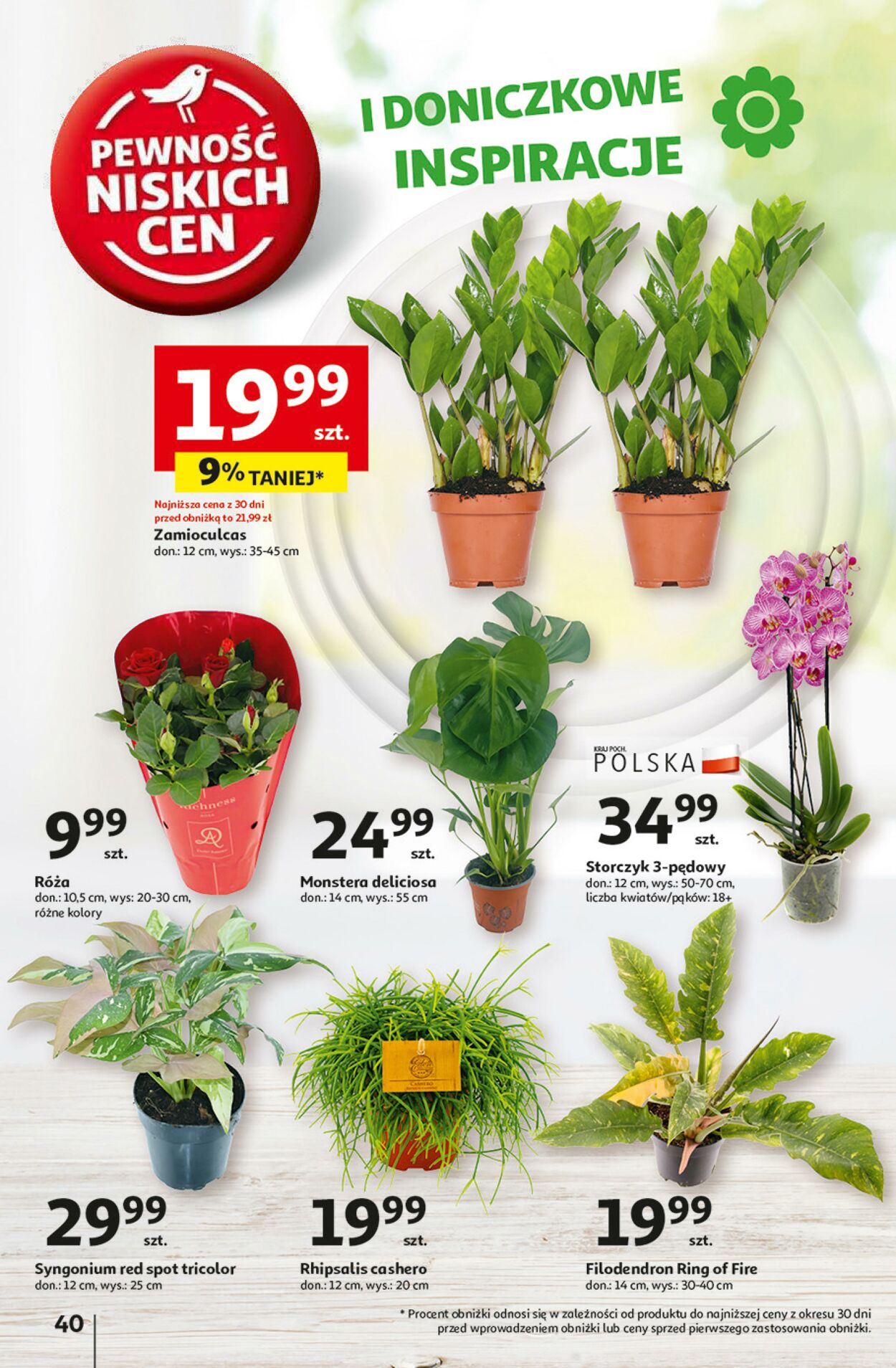 Gazetka Auchan 03.10.2024 - 09.10.2024