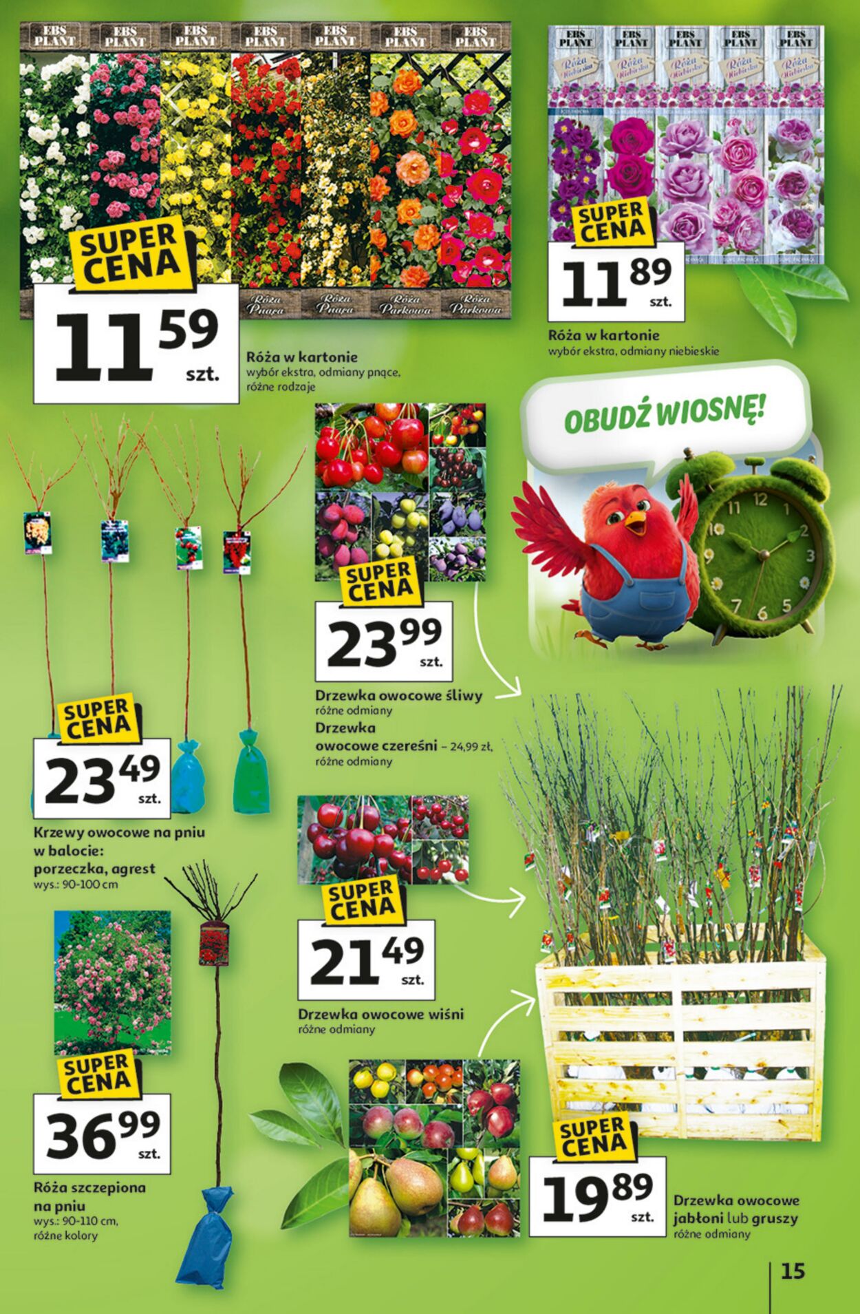 Gazetka Auchan 05.03.2026 - 11.03.2026
