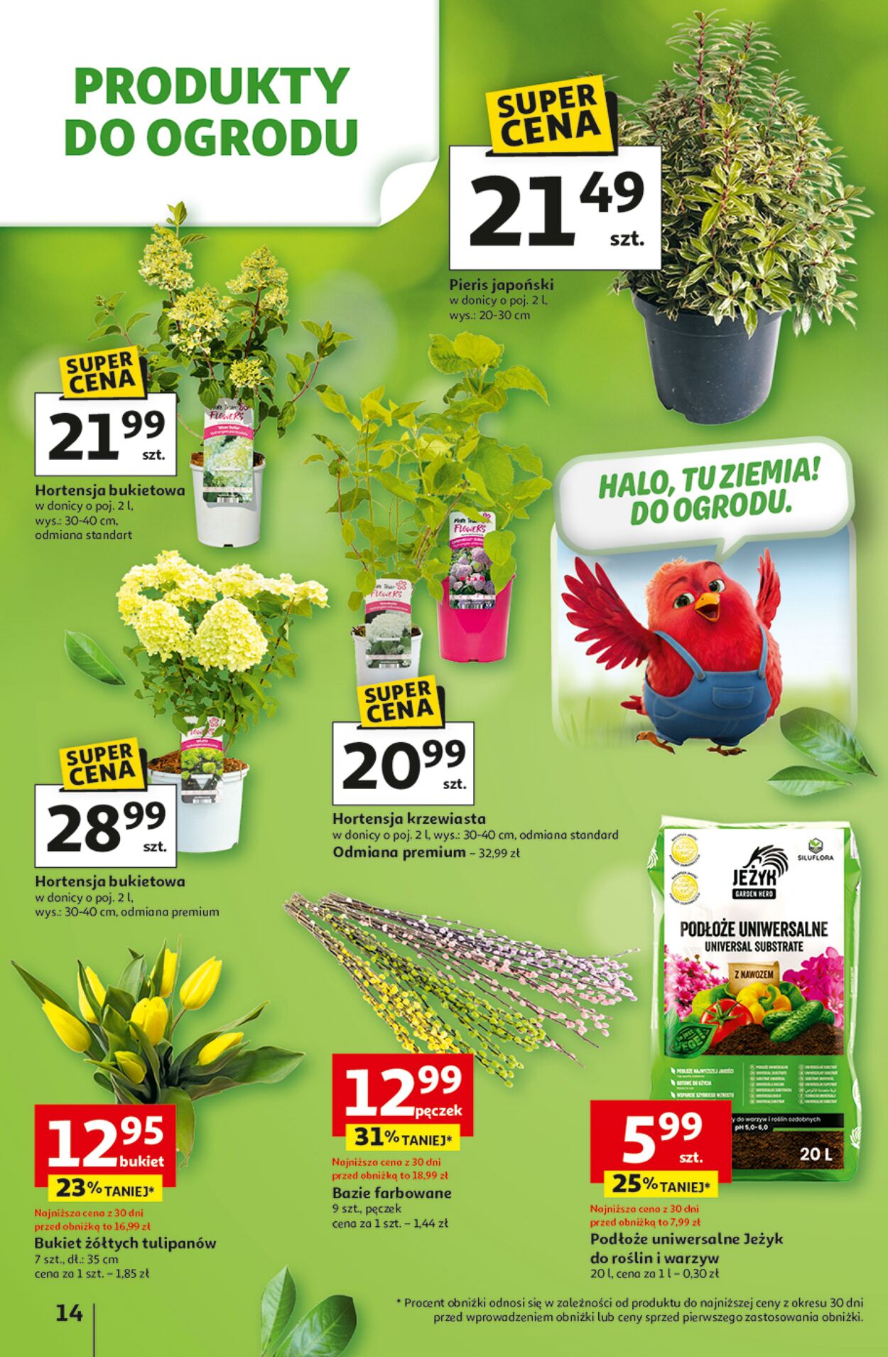 Gazetka Auchan 31.03.2026 - 04.04.2026