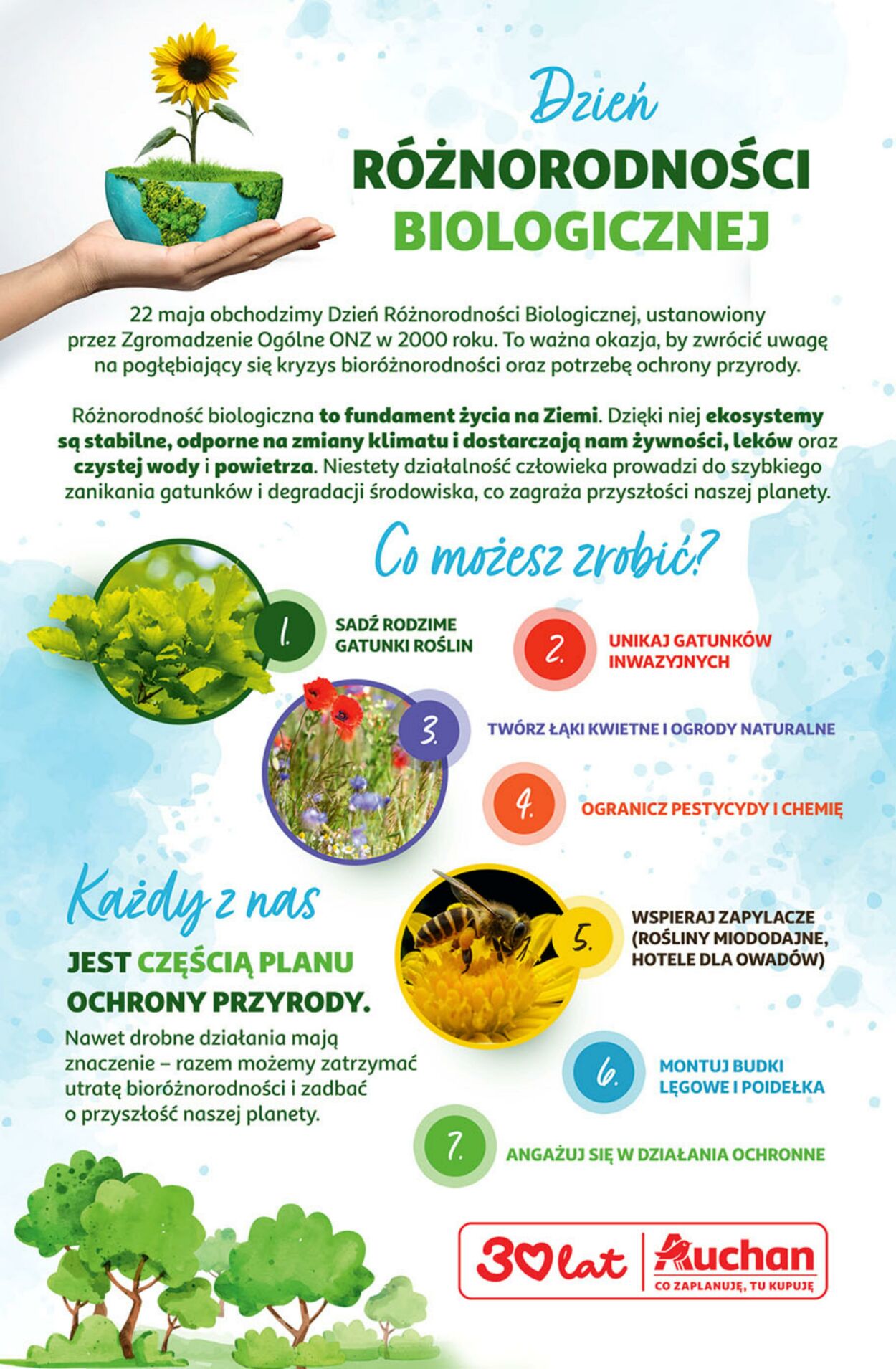 Gazetka Auchan 21.05.2026 - 27.05.2026