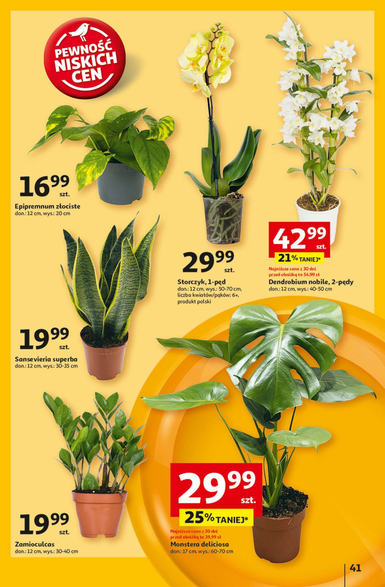 Gazetka Auchan 27.02.2025 - 05.03.2025