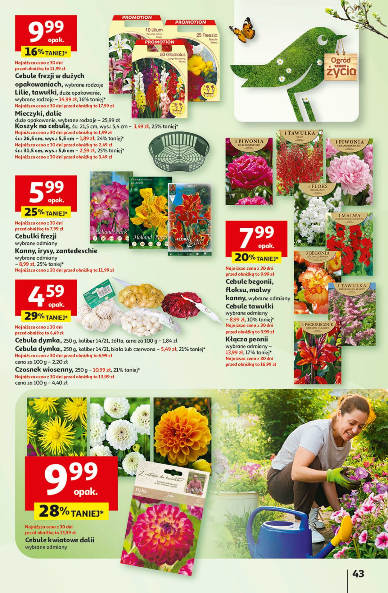 Gazetka Auchan 27.02.2025 - 05.03.2025