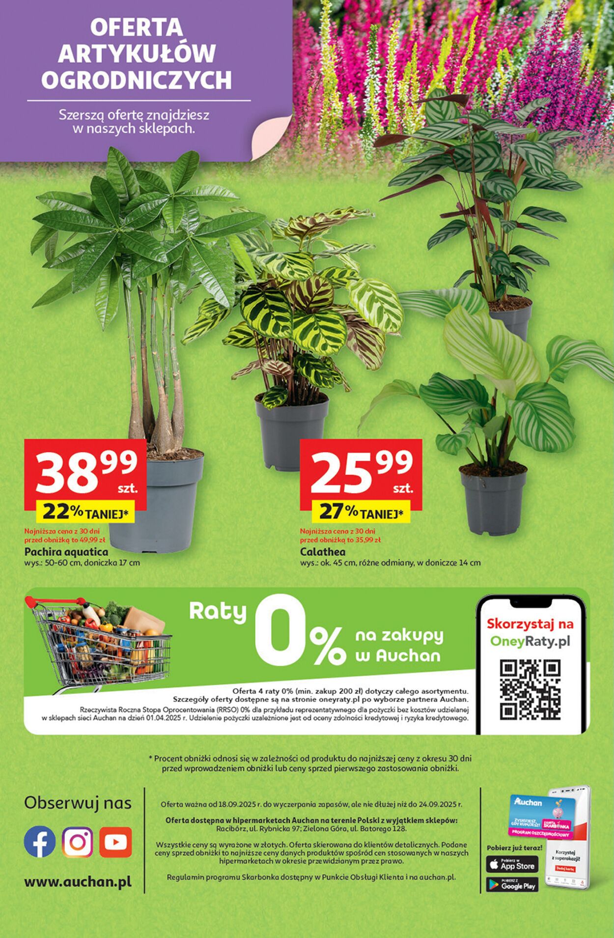 Gazetka Auchan 18.09.2025 - 24.09.2025