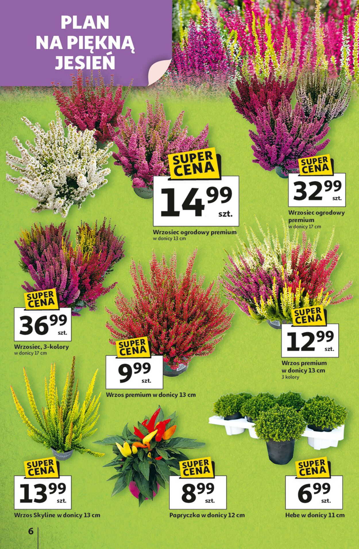 Gazetka Auchan 11.09.2025 - 17.09.2025