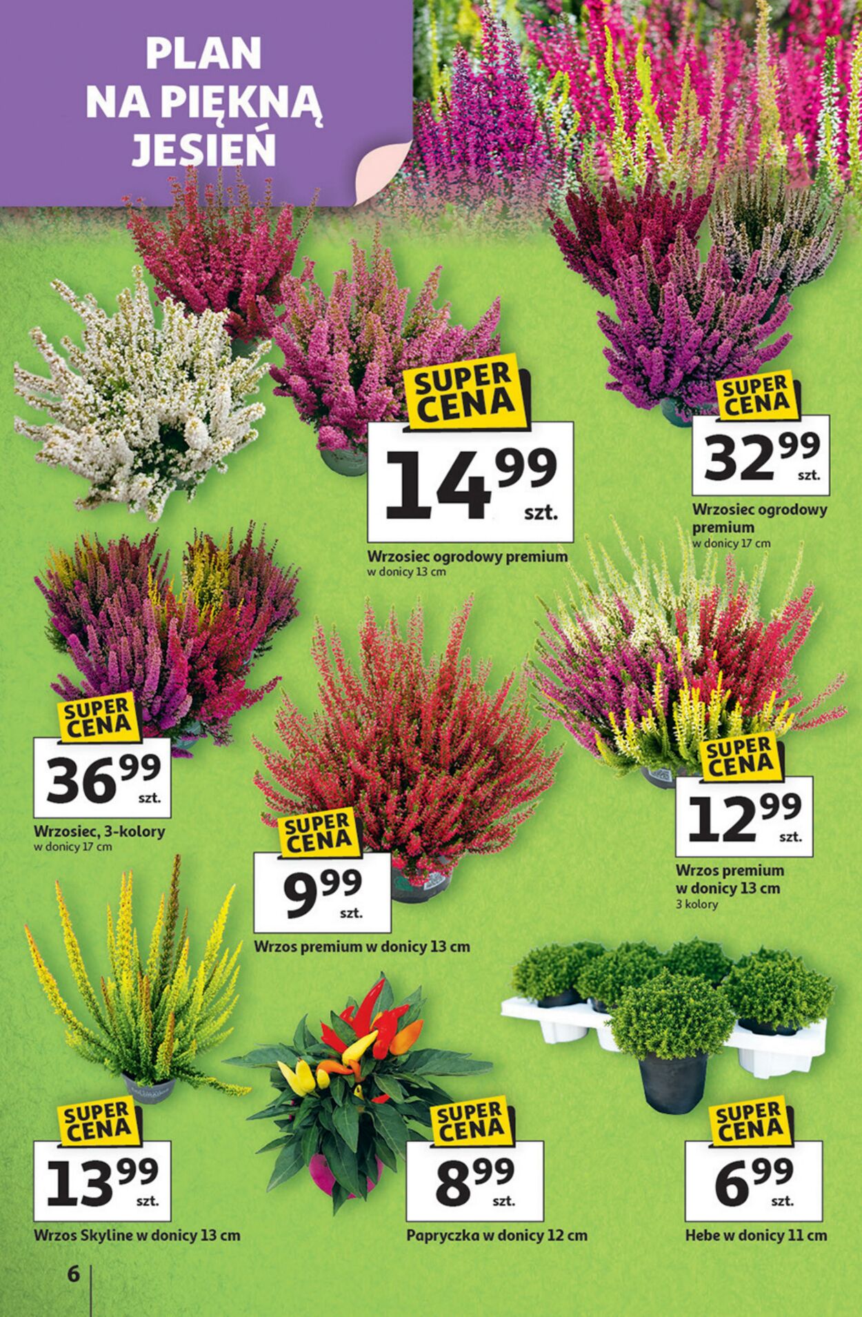 Gazetka Auchan 11.09.2025 - 17.09.2025