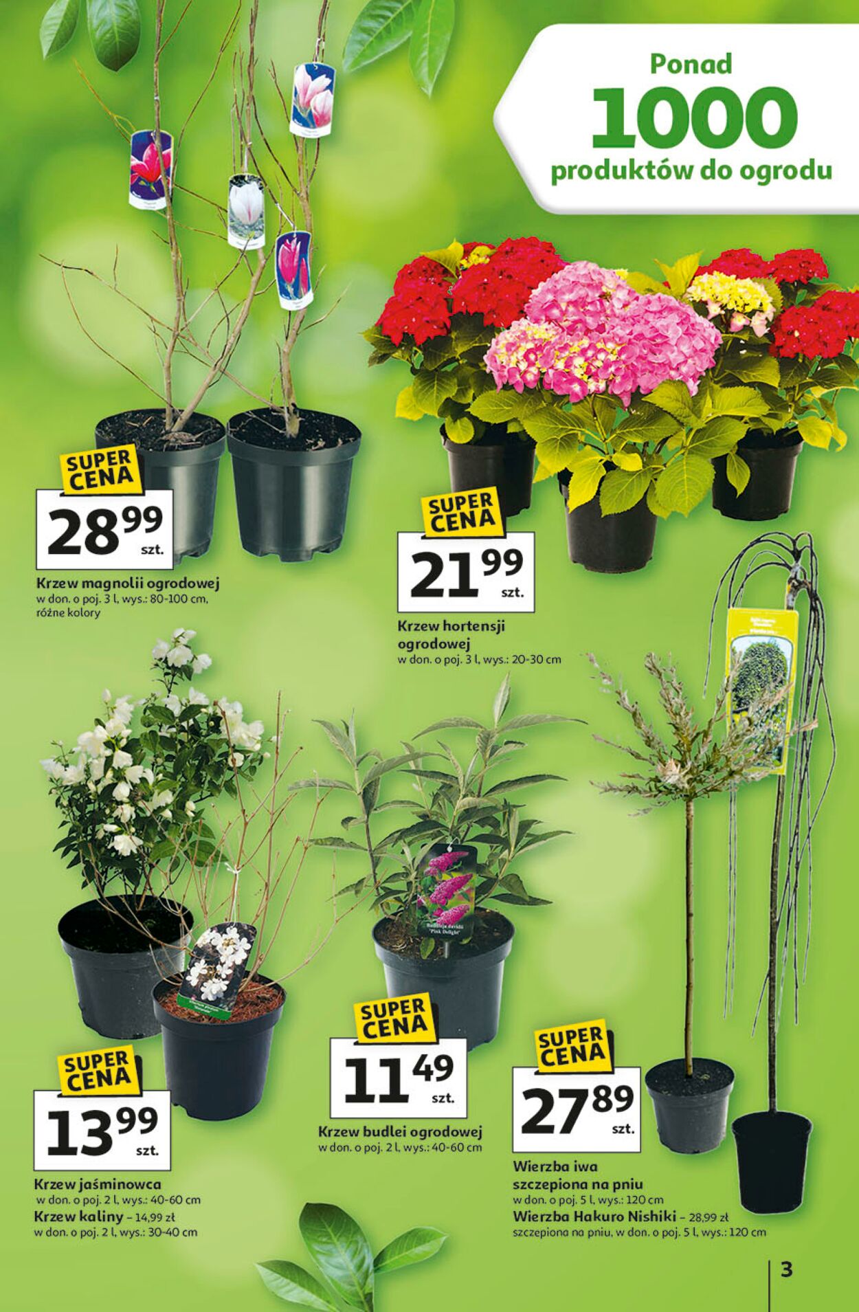 Gazetka Auchan 12.03.2026 - 04.04.2026