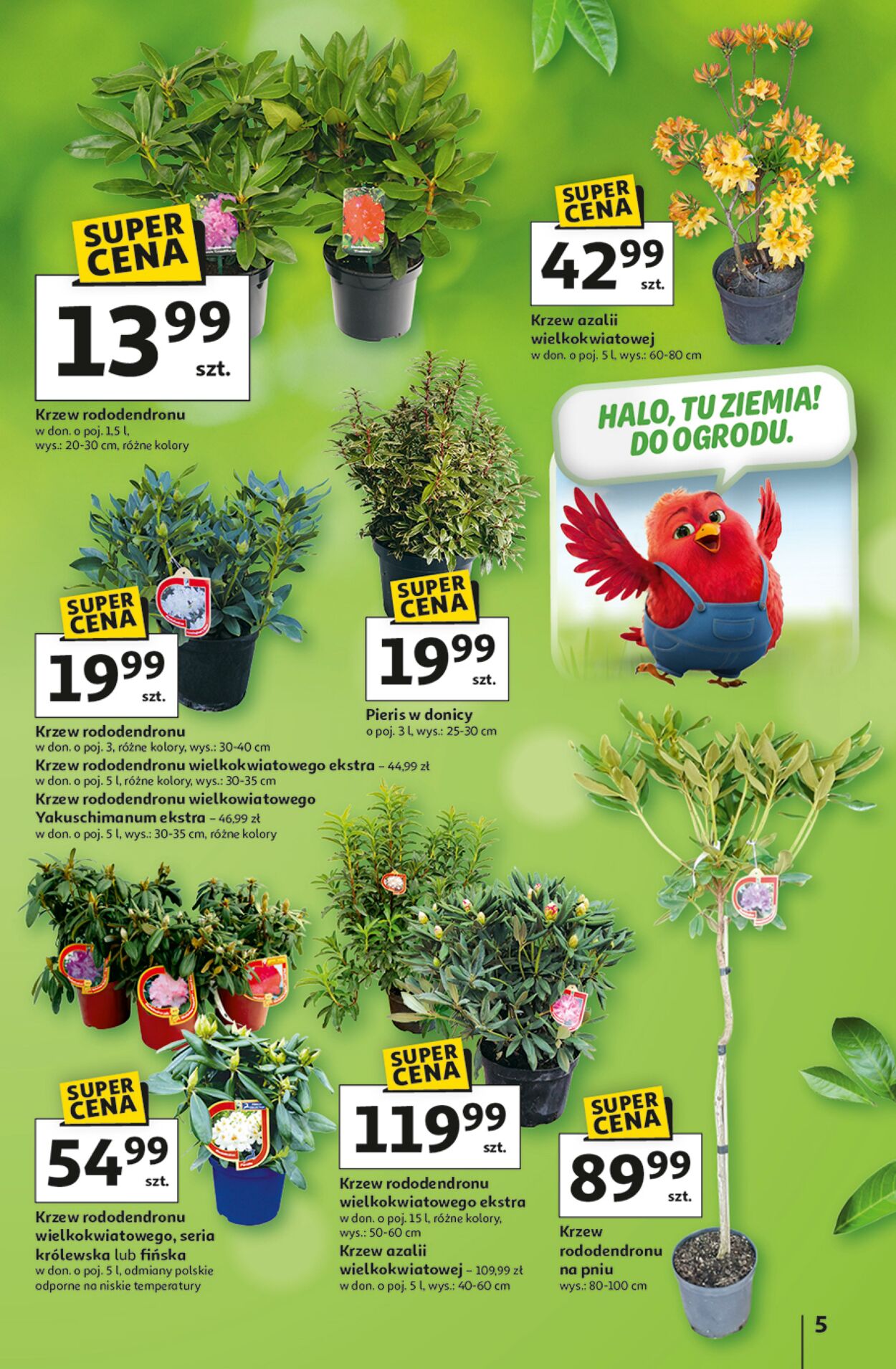 Gazetka Auchan 12.03.2026 - 04.04.2026