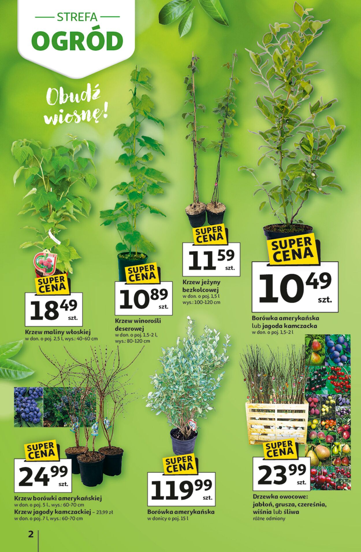 Gazetka Auchan 12.03.2026 - 04.04.2026