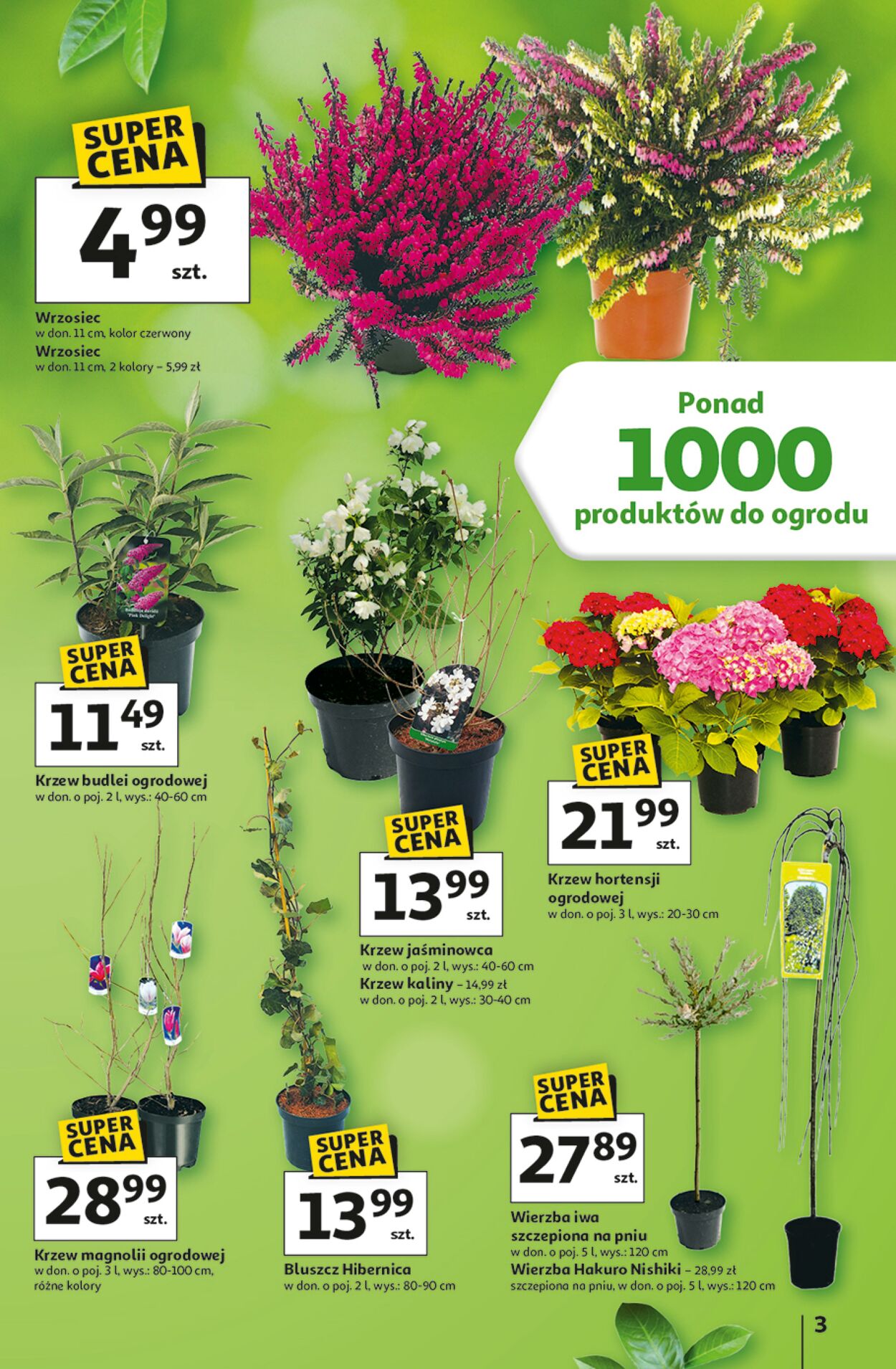 Gazetka Auchan 12.03.2026 - 04.04.2026