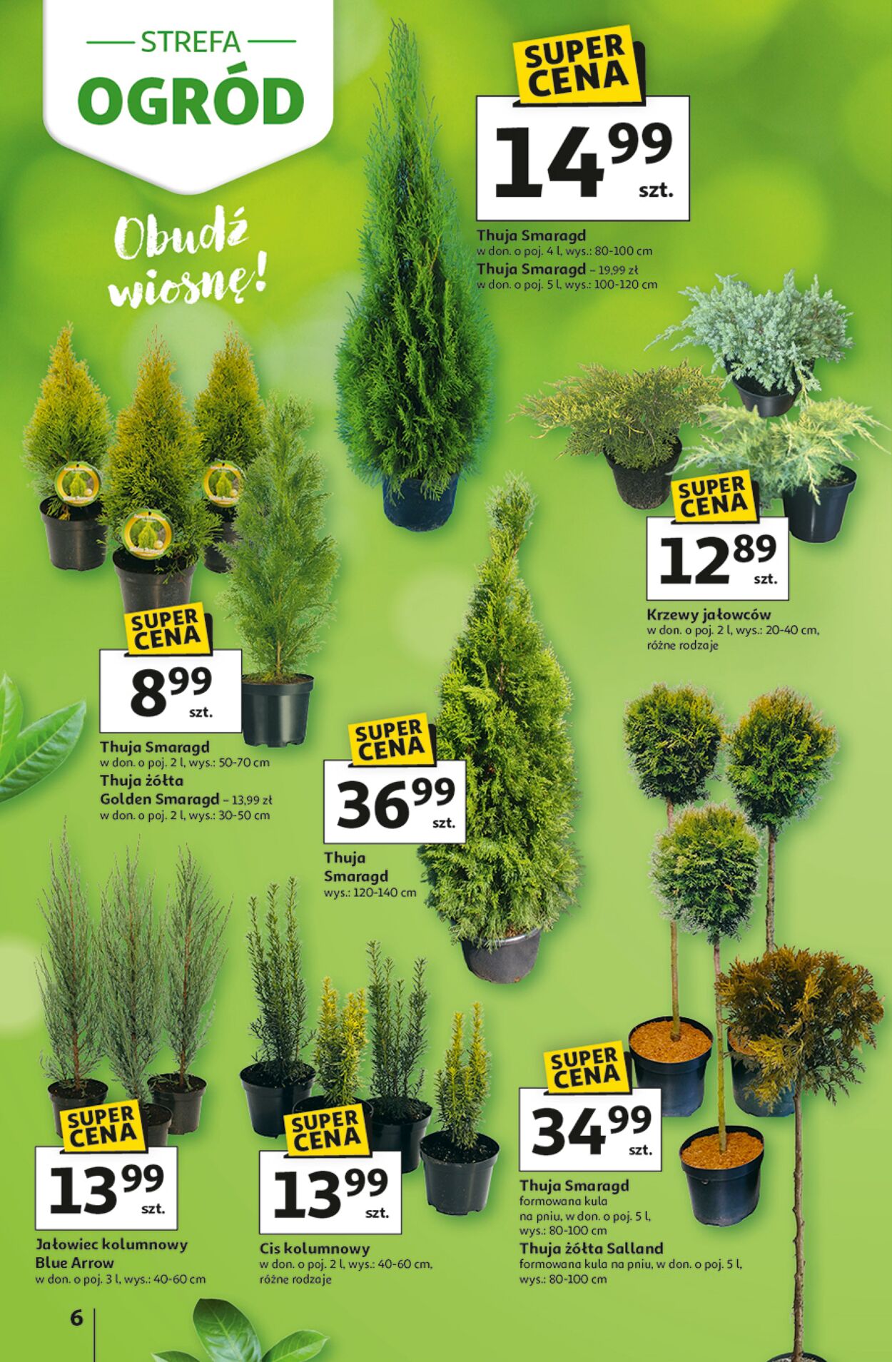 Gazetka Auchan 12.03.2026 - 04.04.2026