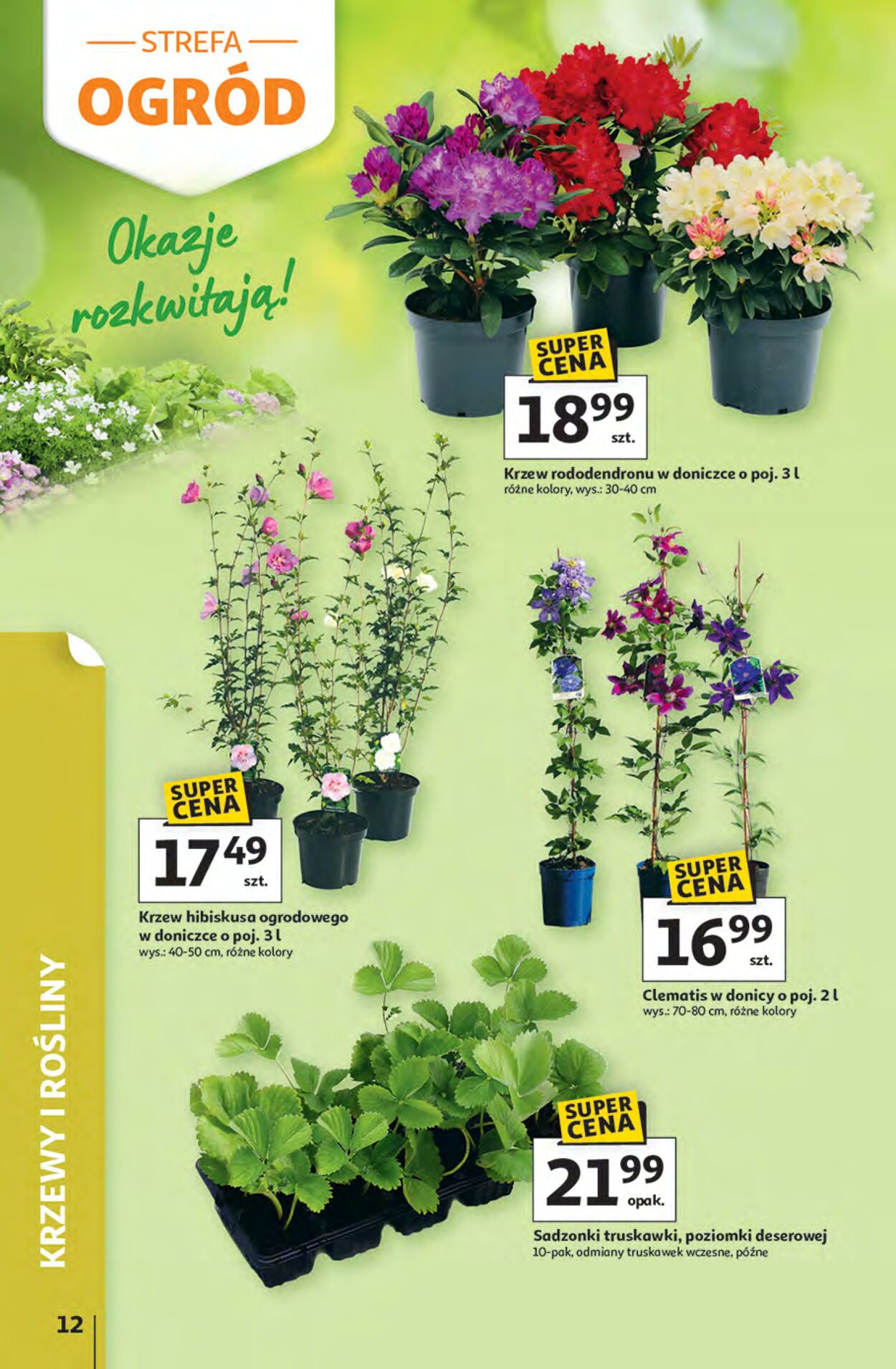 Gazetka Auchan 09.04.2026 - 22.04.2026
