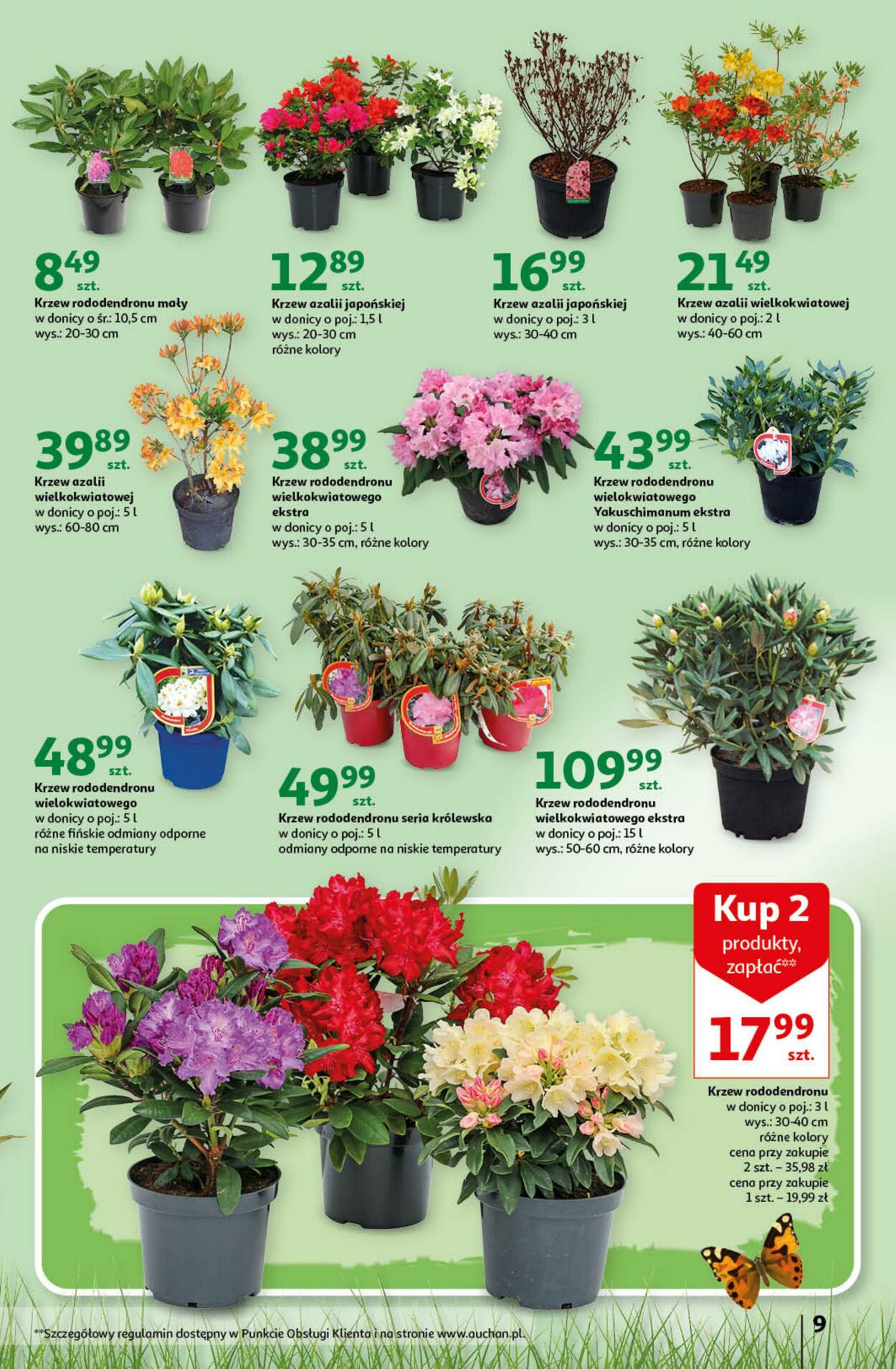 Gazetka Auchan 16.03.2023 - 29.03.2023