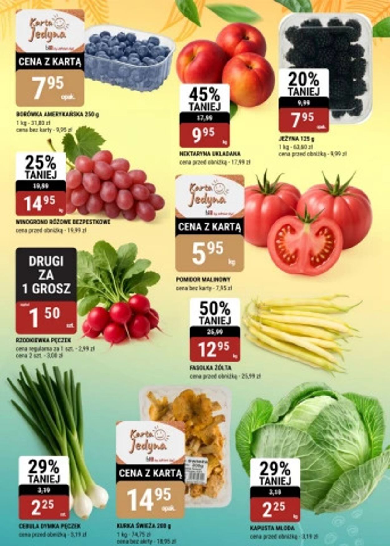 Gazetka Bi1 16.07.2025 - 22.07.2025