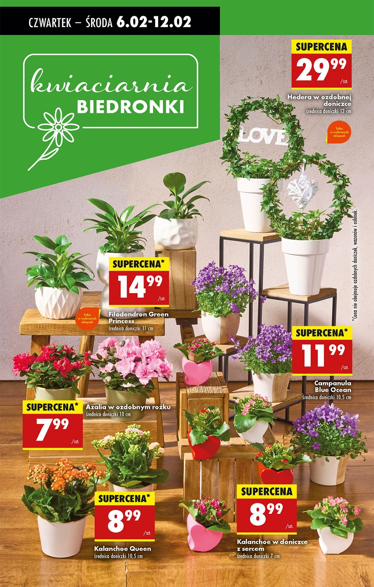 Gazetka Biedronka 06.02.2025 - 13.02.2025