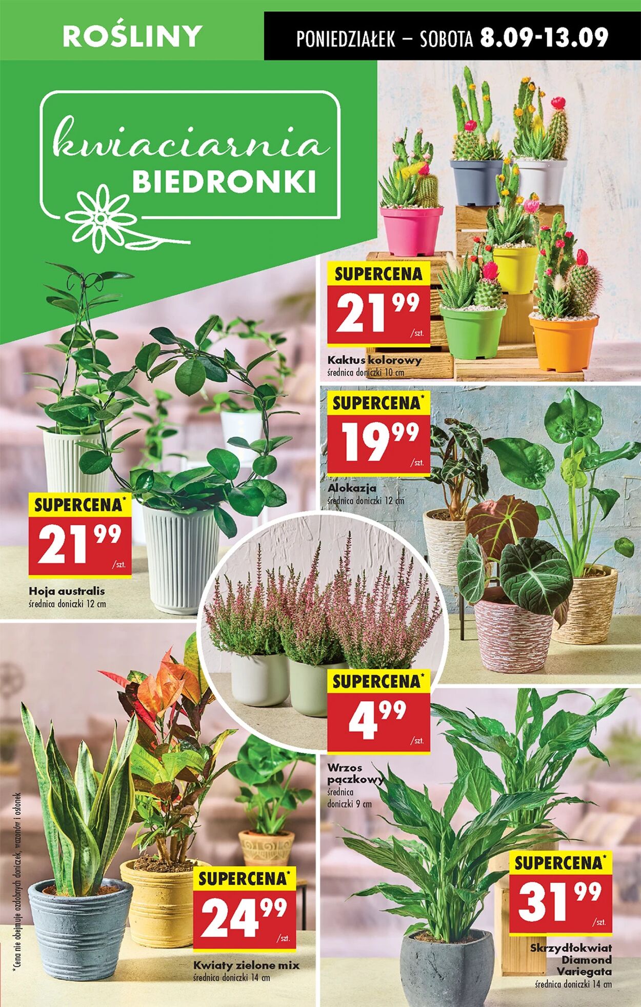 Gazetka Biedronka 08.09.2025 - 15.09.2025