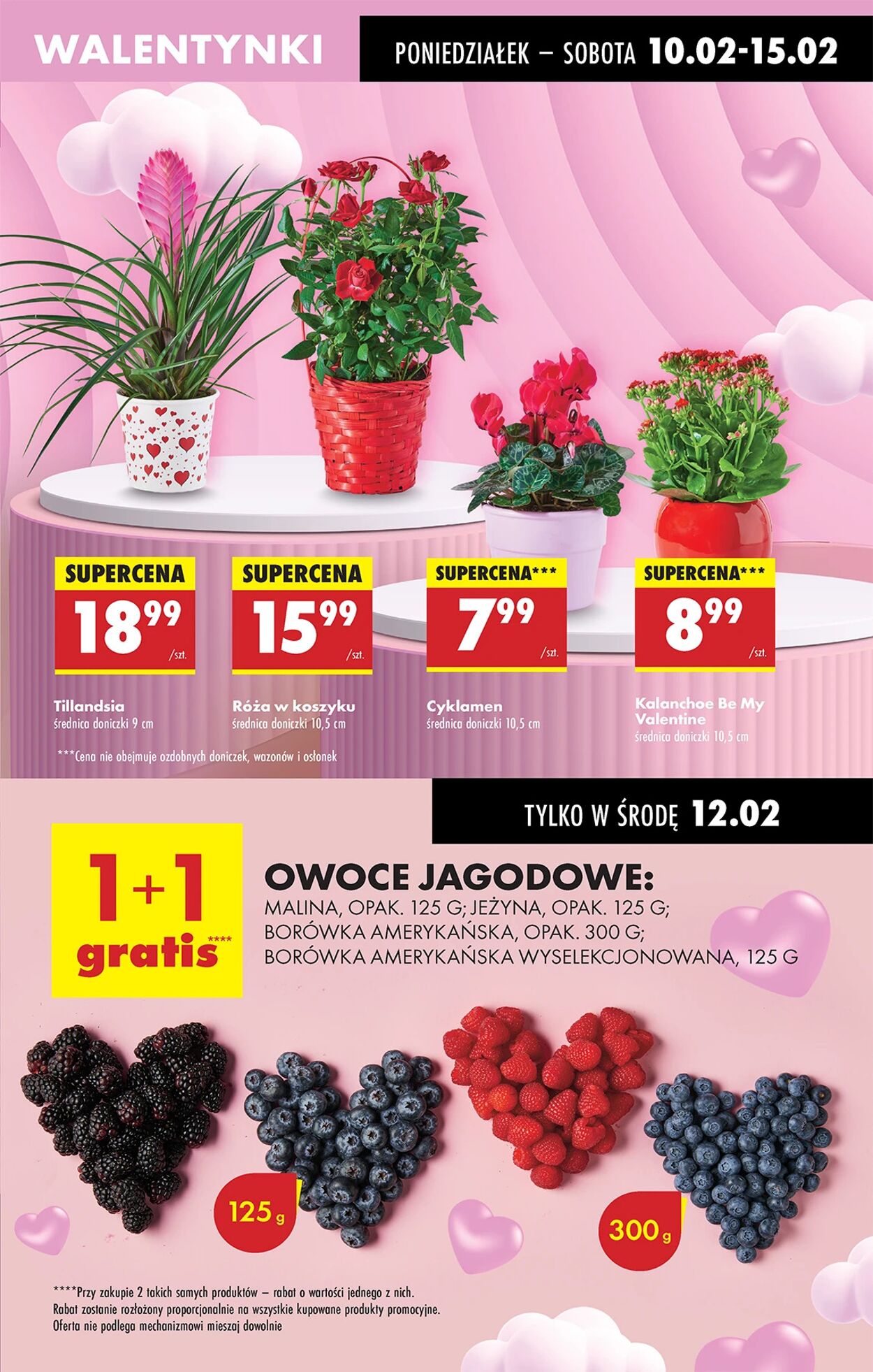 Gazetka Biedronka 10.02.2025 - 17.02.2025