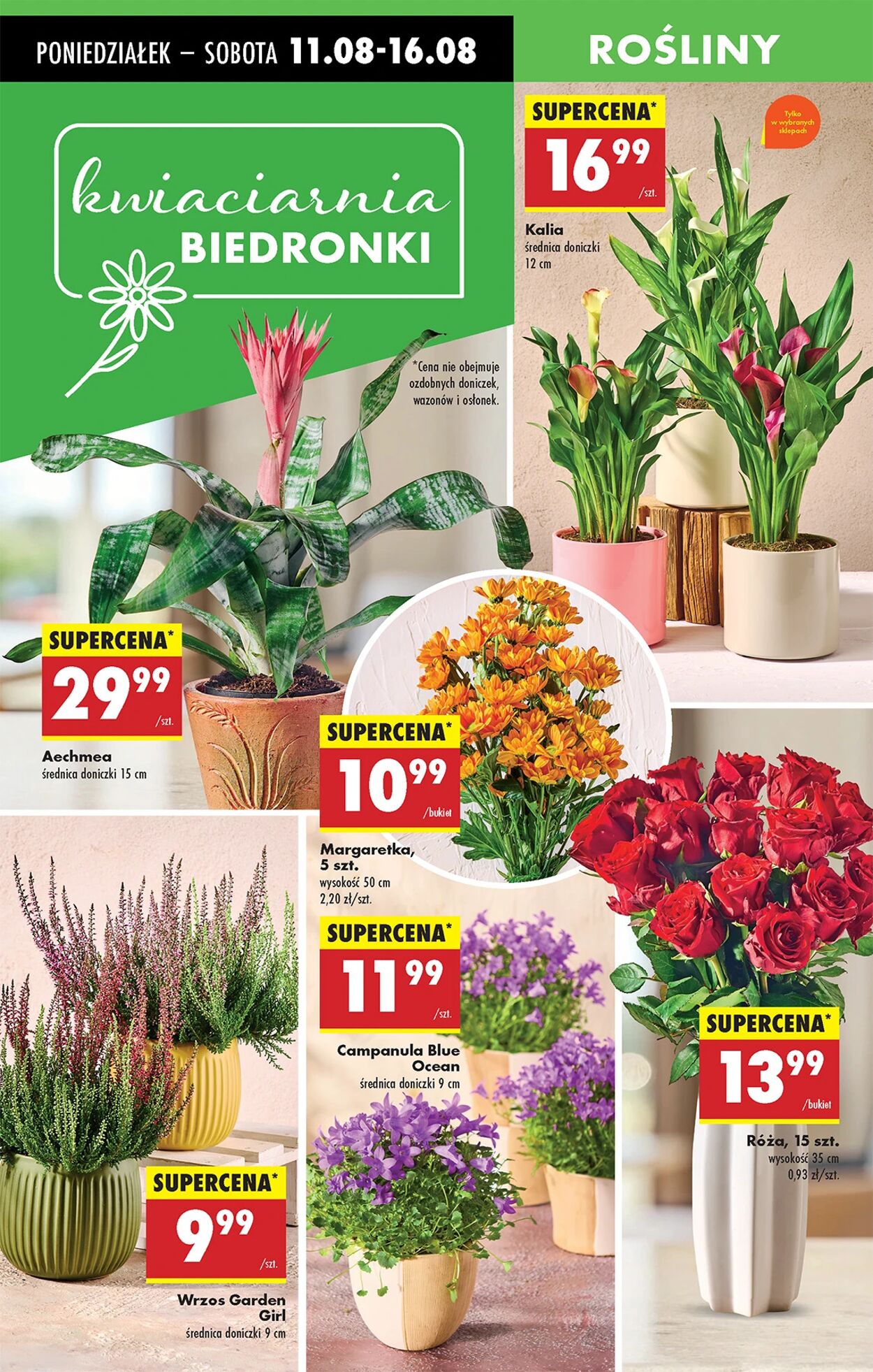 Gazetka Biedronka 11.08.2025 - 18.08.2025