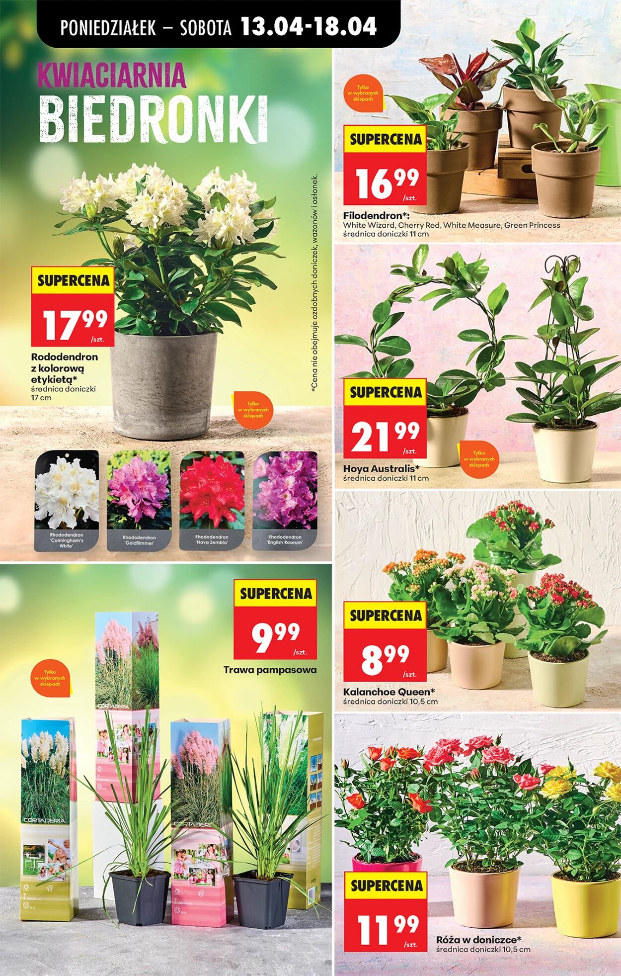 Gazetka Biedronka 13.04.2026 - 20.04.2026